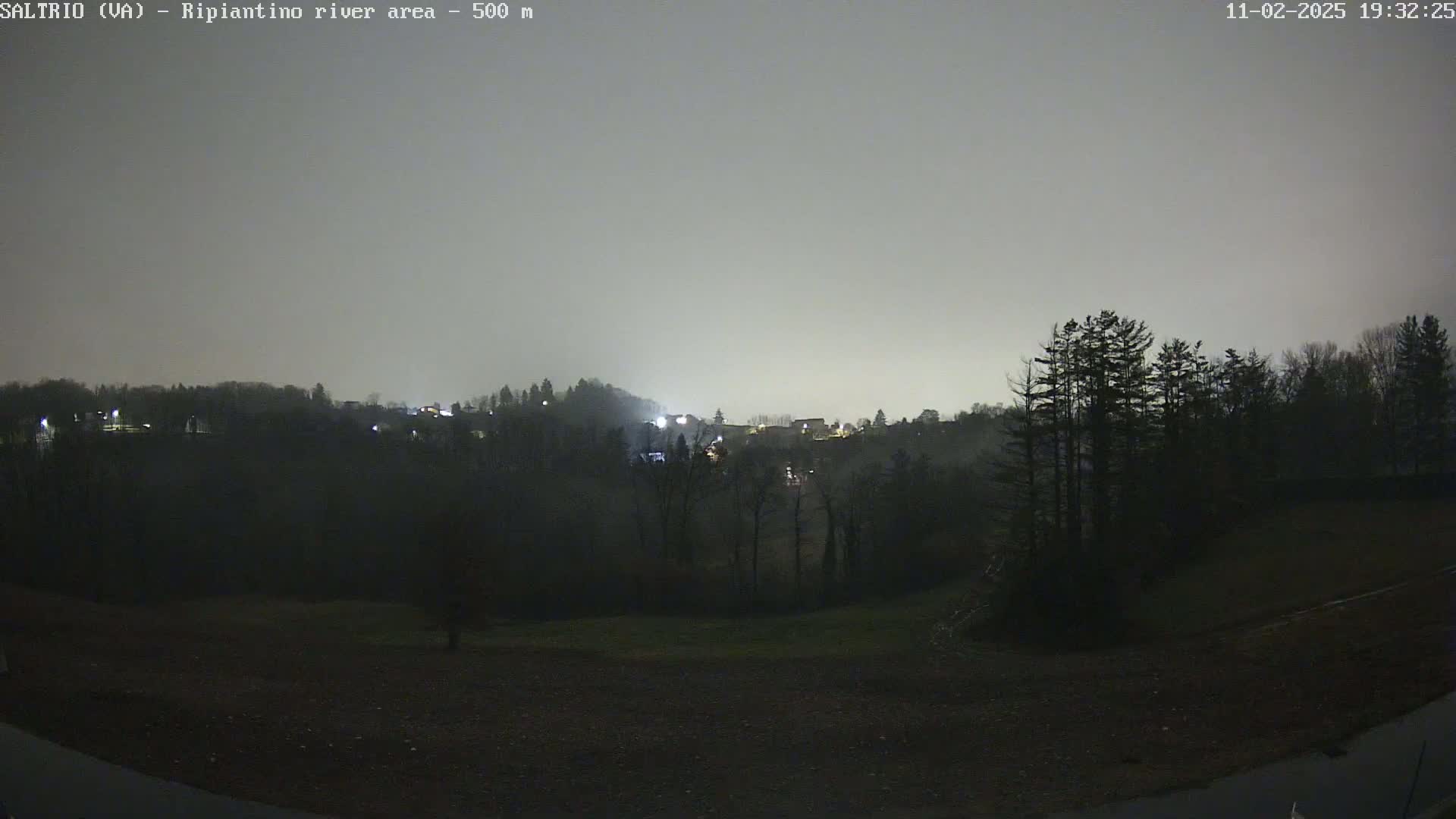 A nighttime view of a dimly lit town nestled among dark, silhouetted trees under a hazy, overcast sky.