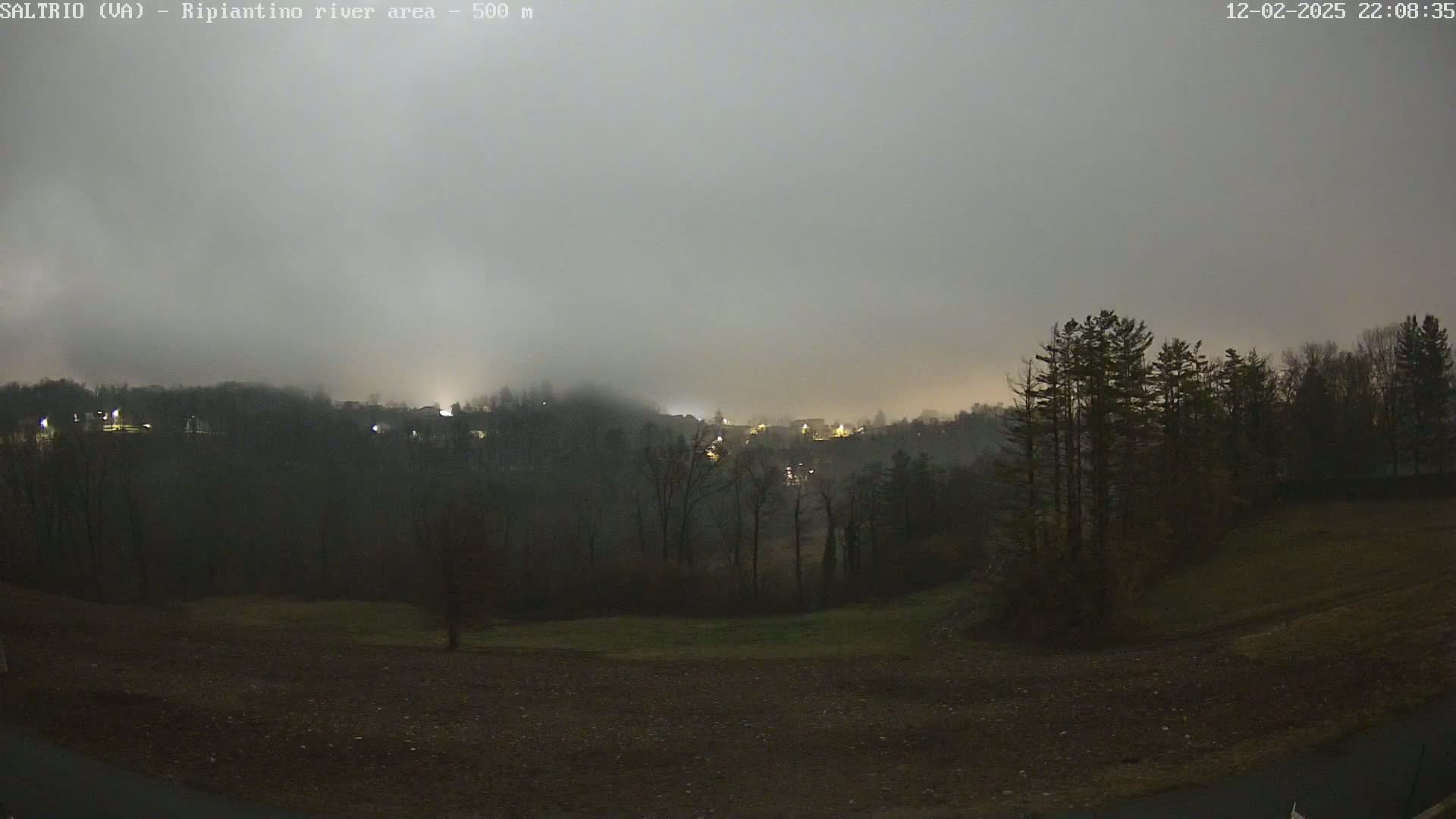 A nighttime view of a foggy, dimly lit town nestled among dark trees and fields.
