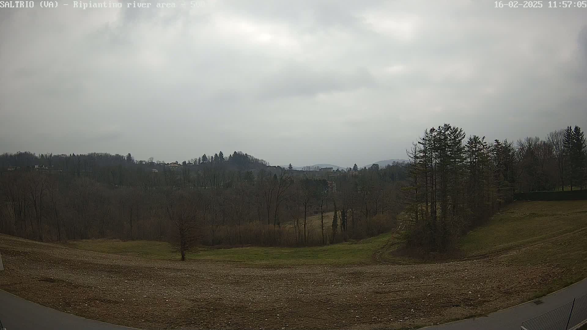 A view of a treeline and rolling hills under an overcast sky, showing bare winter trees and a field of brown earth in the foreground.
