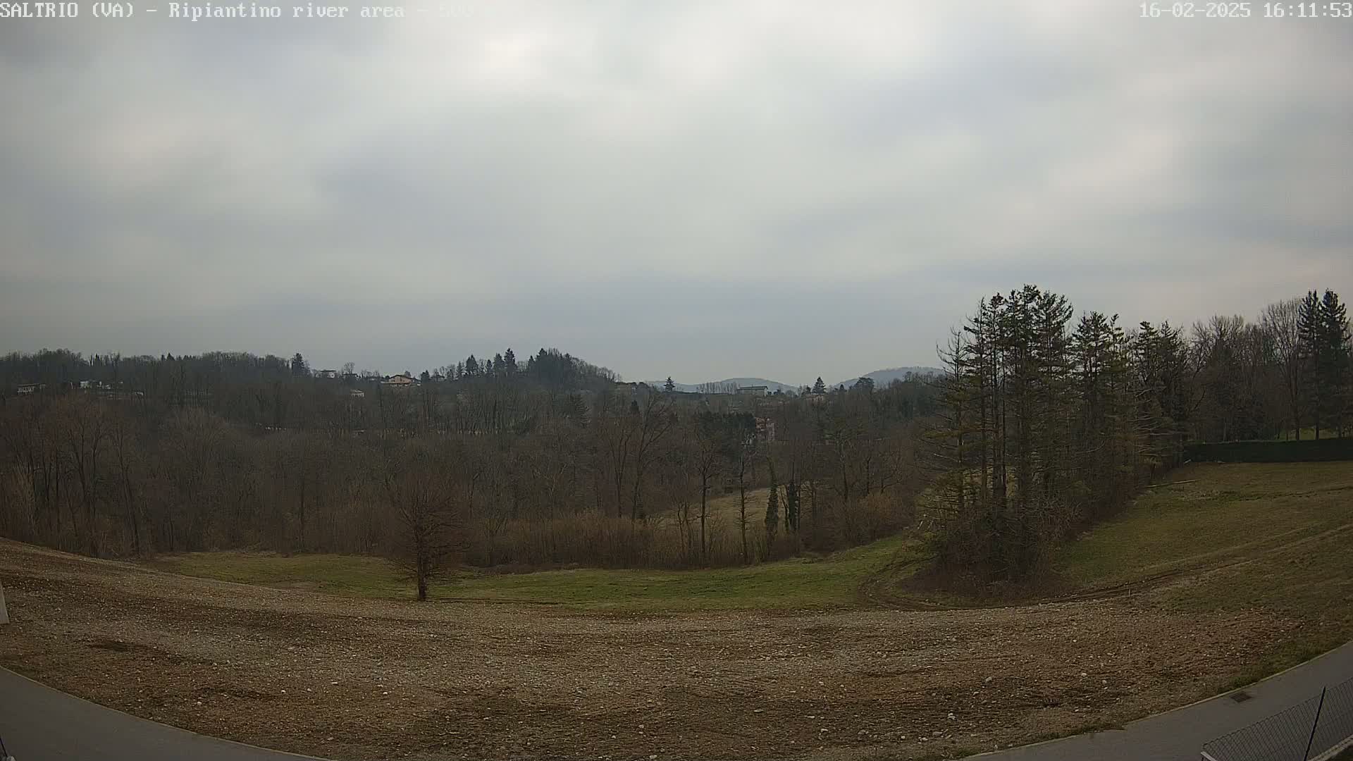 A mostly barren, brown field slopes down to a wooded area under a cloudy sky.