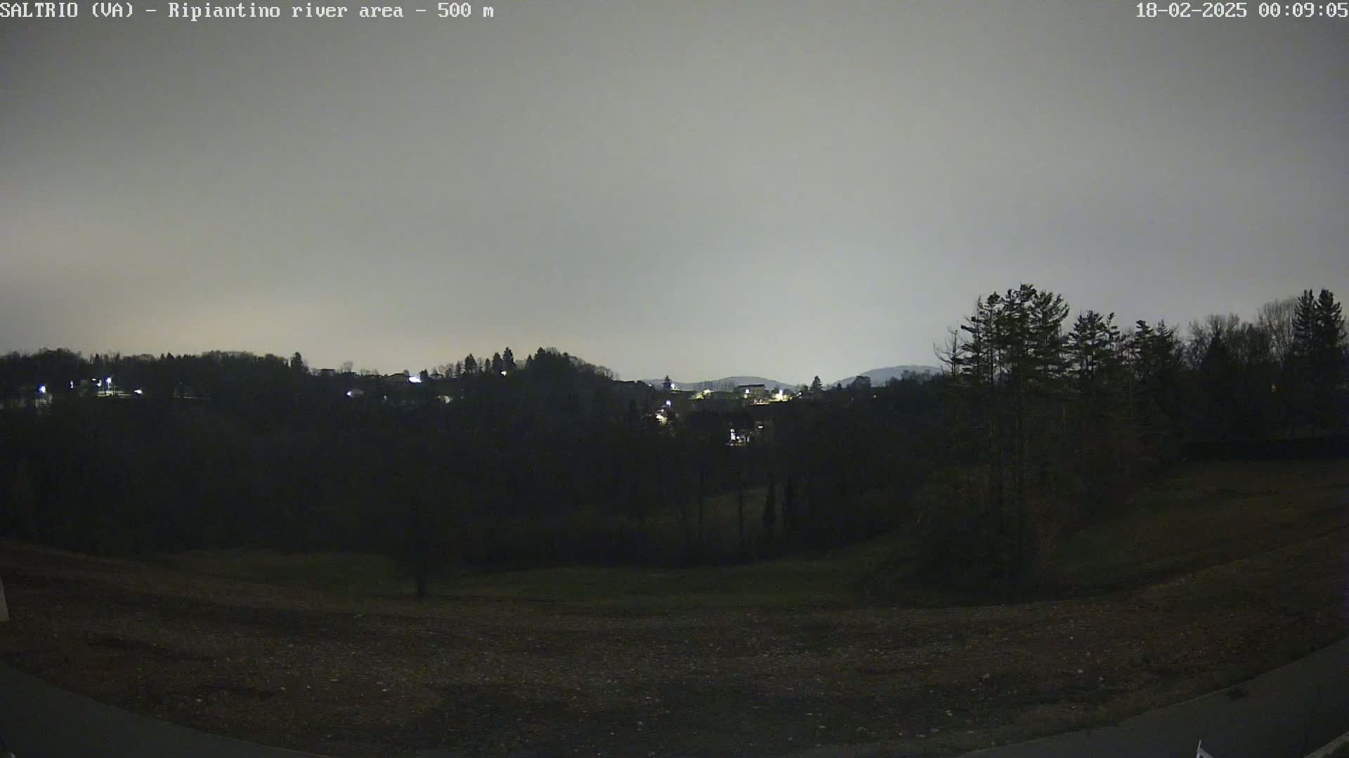 A nighttime view of a dark, tree-lined hillside with sparsely lit buildings in the distance under a cloudy, gray sky.
