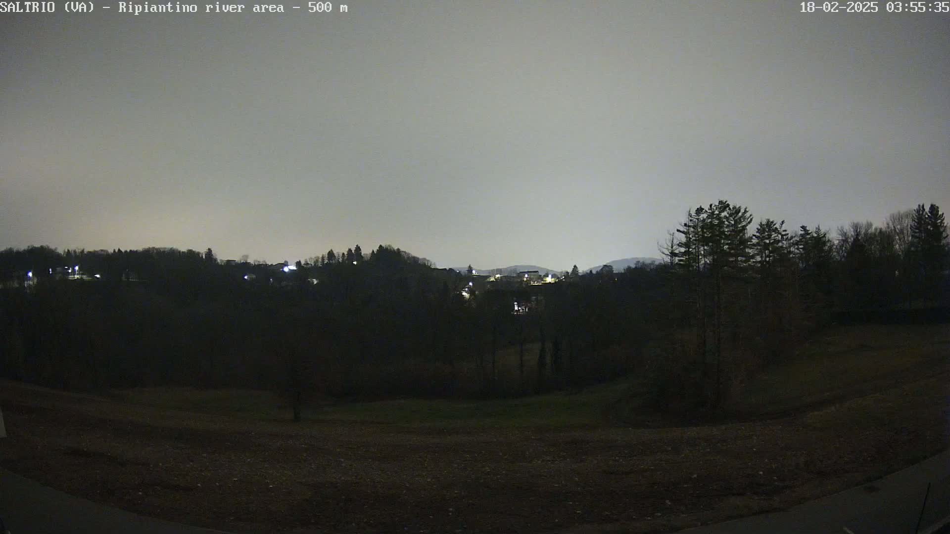 A nighttime view of a dark, hilly landscape with sparse, silhouetted trees under a light gray sky.