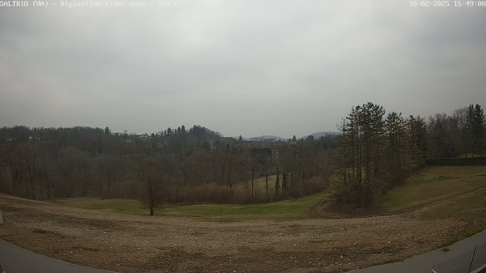 A mostly barren, rocky field slopes down to a line of bare trees and a distant, hazy hillside under a gray sky.
