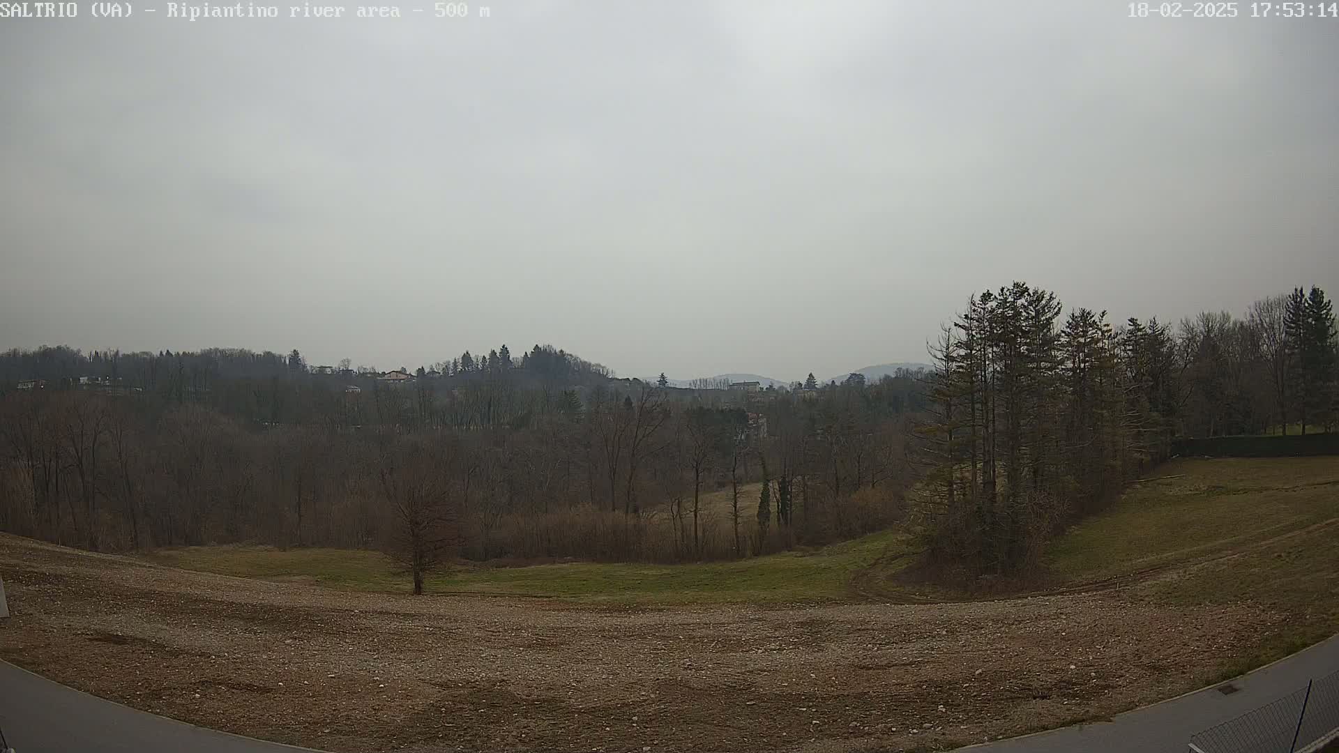 A view of a hilly landscape under an overcast sky shows bare trees and brown fields with a cluster of evergreens in the foreground.