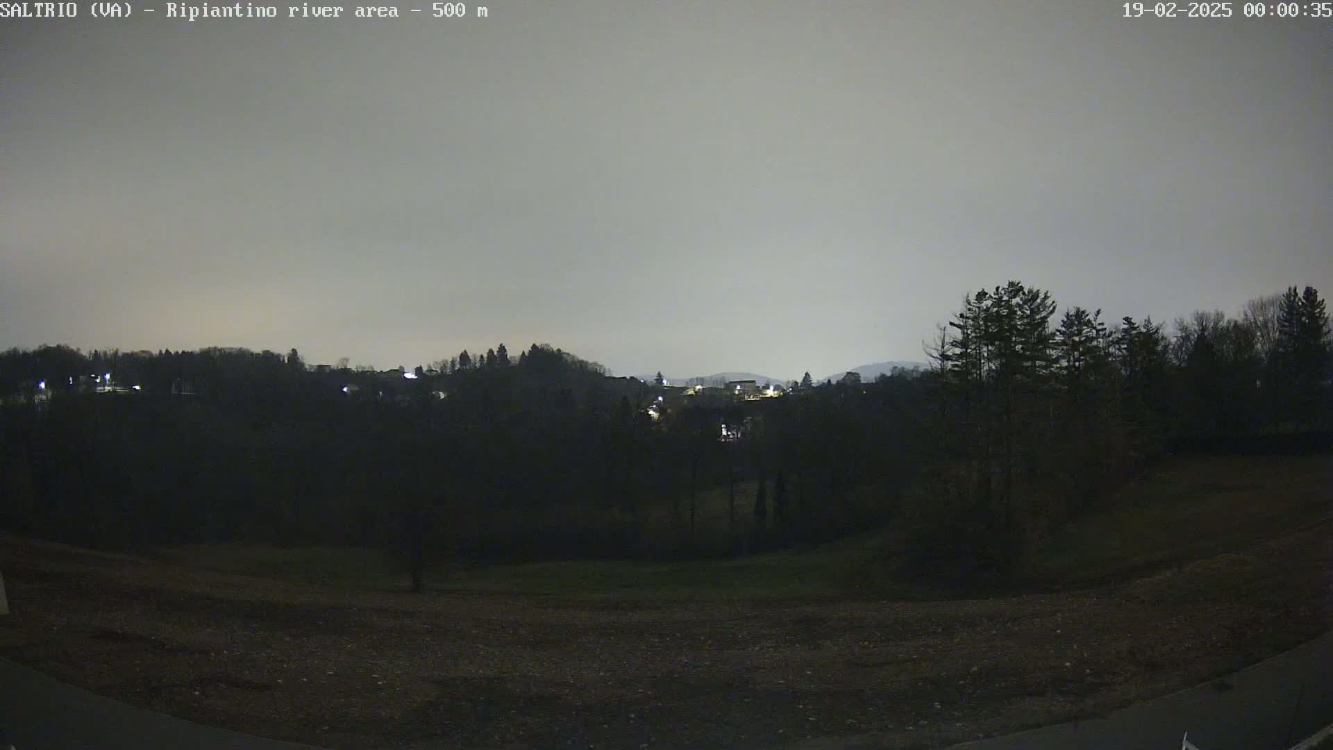 A nighttime view of a dimly lit landscape, featuring trees, a sparsely populated area with some lights, and a overcast sky.
