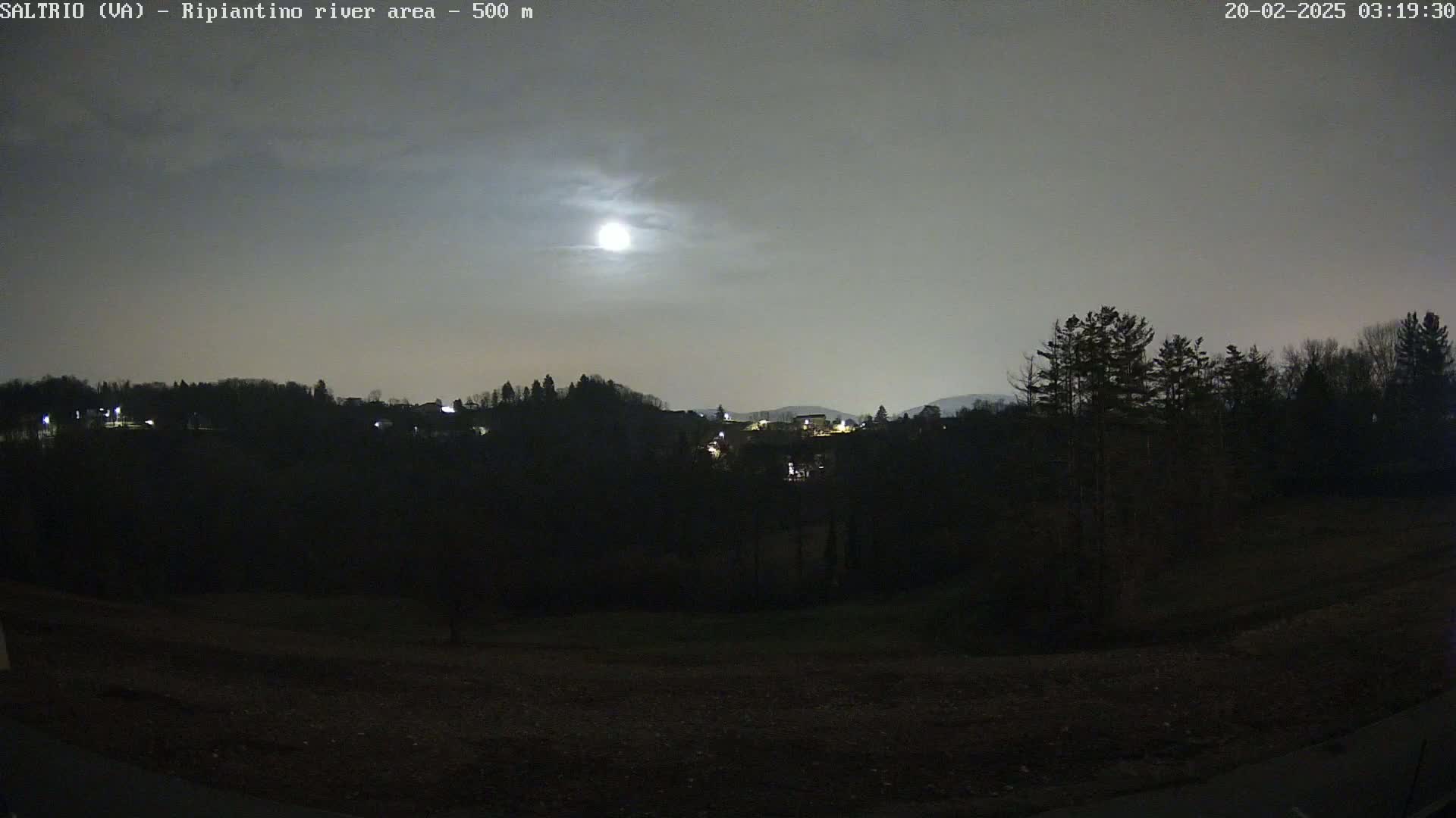 A bright moon illuminates a dark, nighttime landscape of silhouetted trees and a village in the distance under a cloudy sky.
