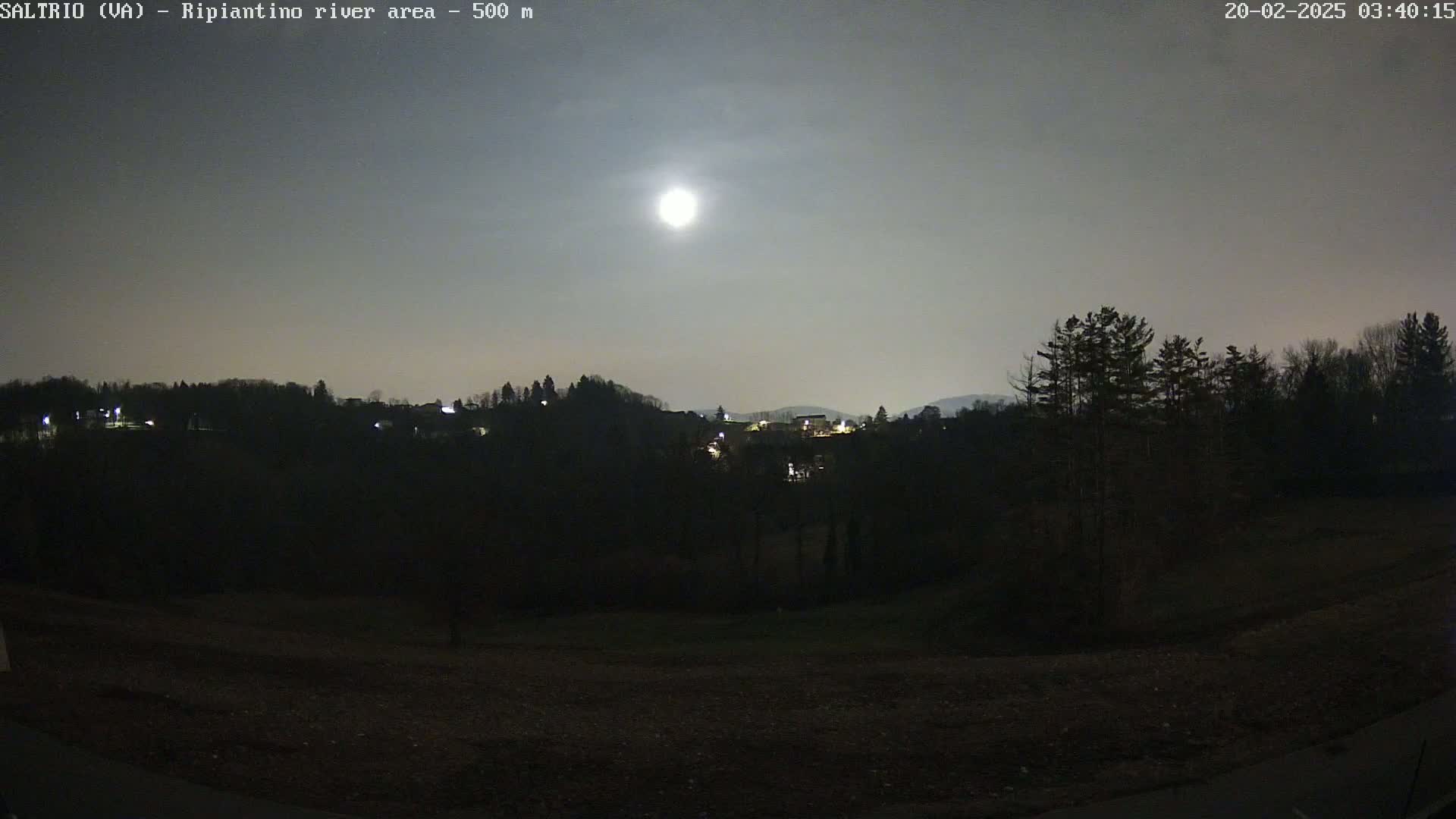 A bright moon illuminates a dark, nighttime landscape of trees and a distant village, under a mostly clear sky.