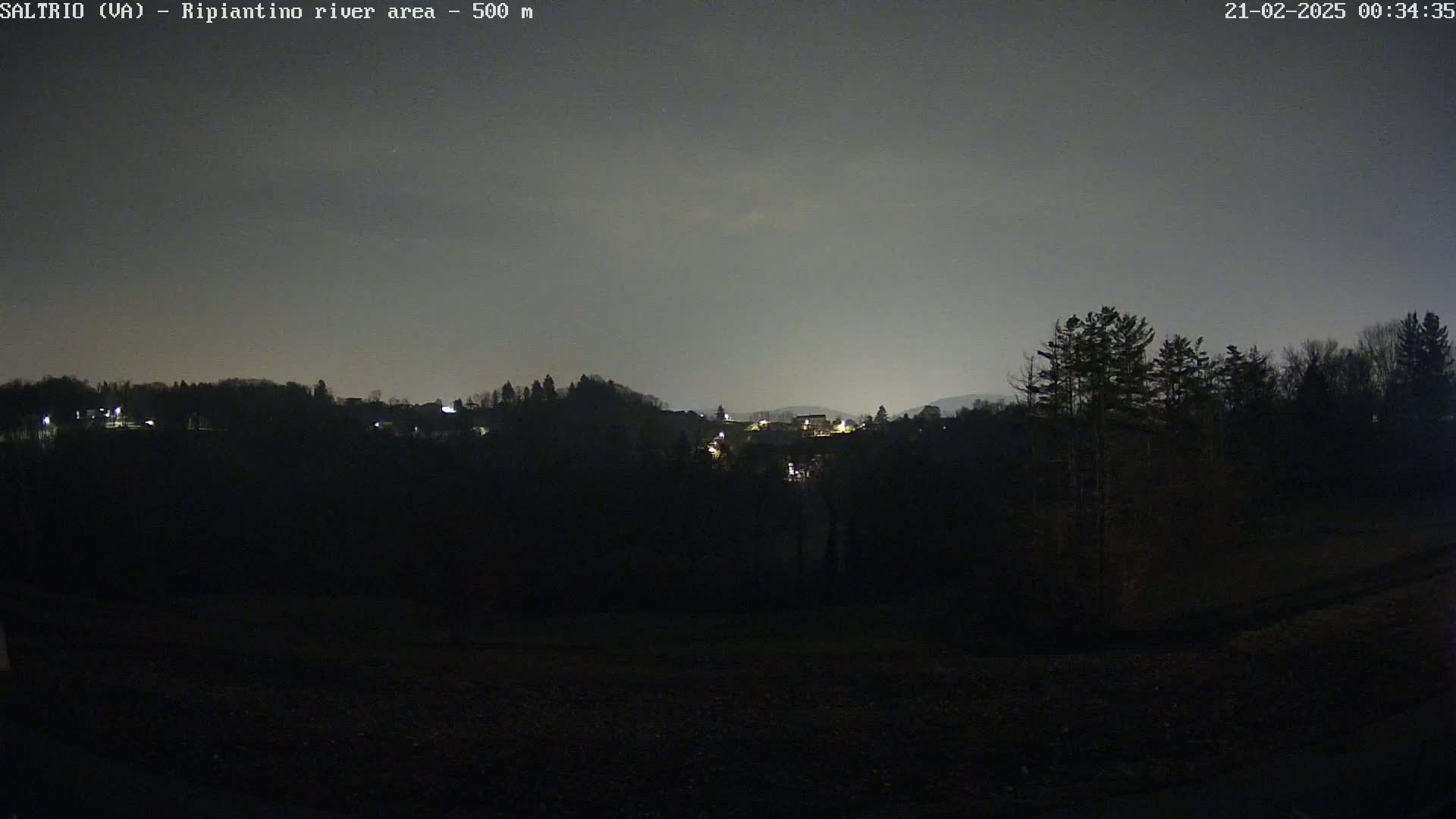 A nighttime view of a dark, tree-lined hillside with a few scattered lights visible in the distance under a dusky sky.