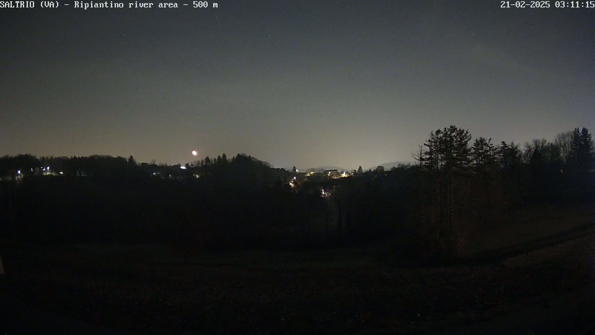 A nighttime view of a dimly lit town nestled among dark, silhouetted trees under a clear, dark sky with a visible moon.