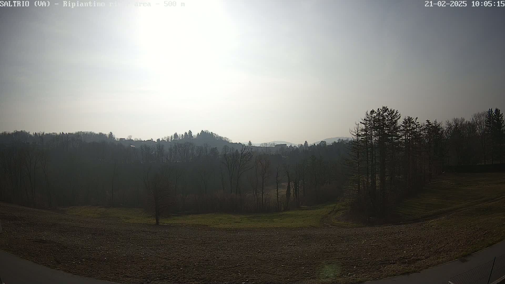 A hazy, sunny day reveals a landscape of dark, leafless trees and fields, with hills in the background.