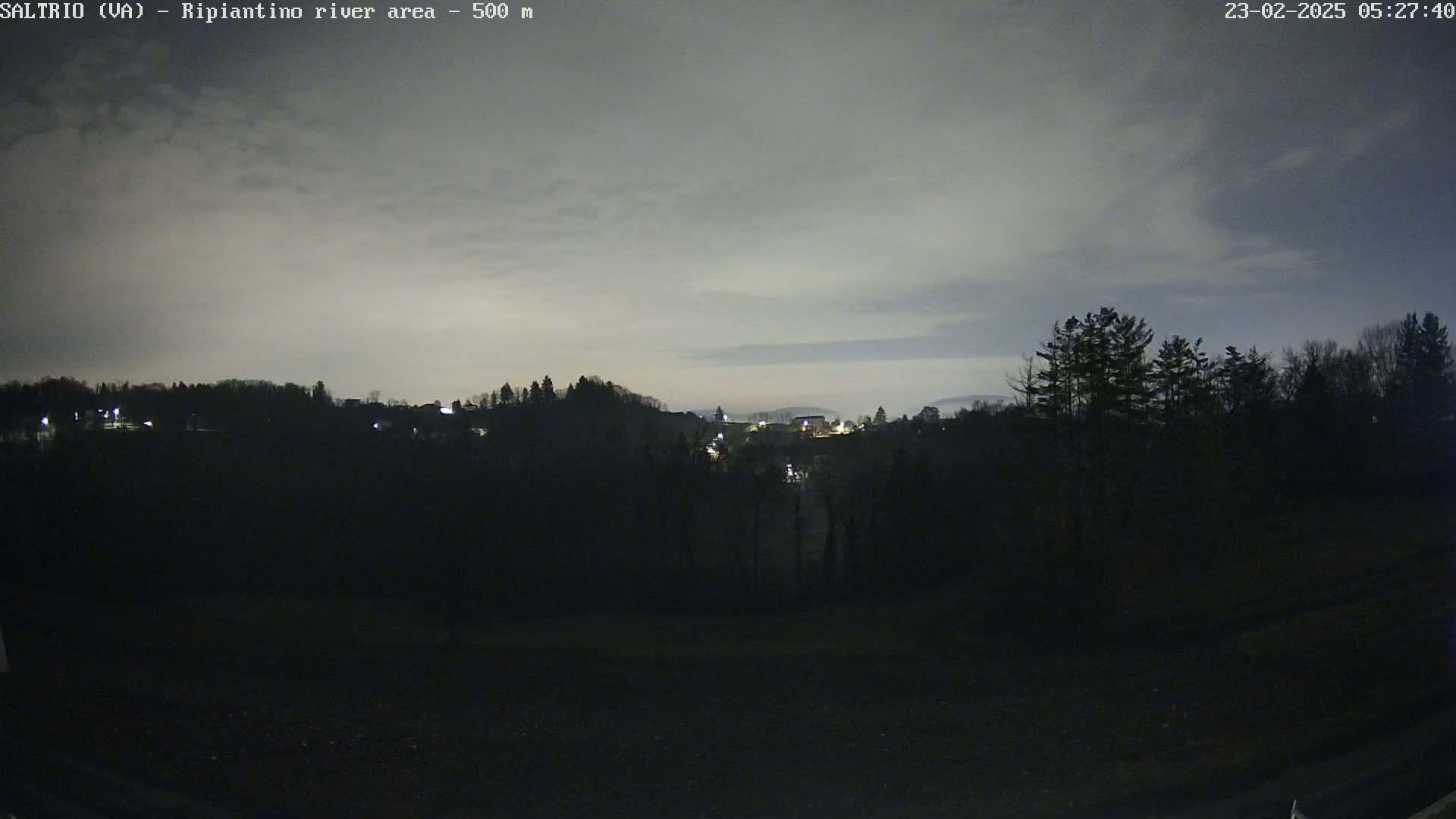 A nighttime view of a dark, tree-covered landscape under a cloudy, light gray sky shows a few distant lights from a village.