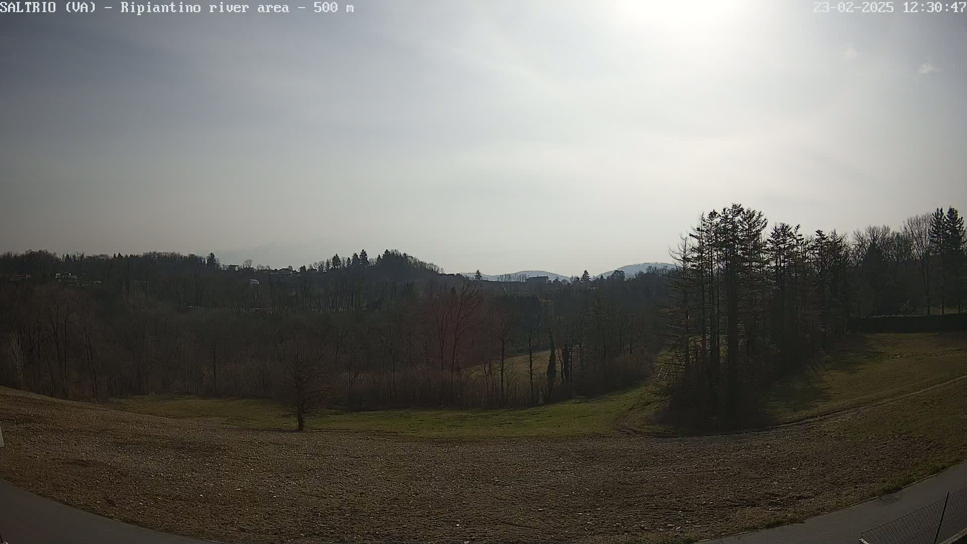 A mostly sunny view of a treeline and grassy field, with hills in the background.