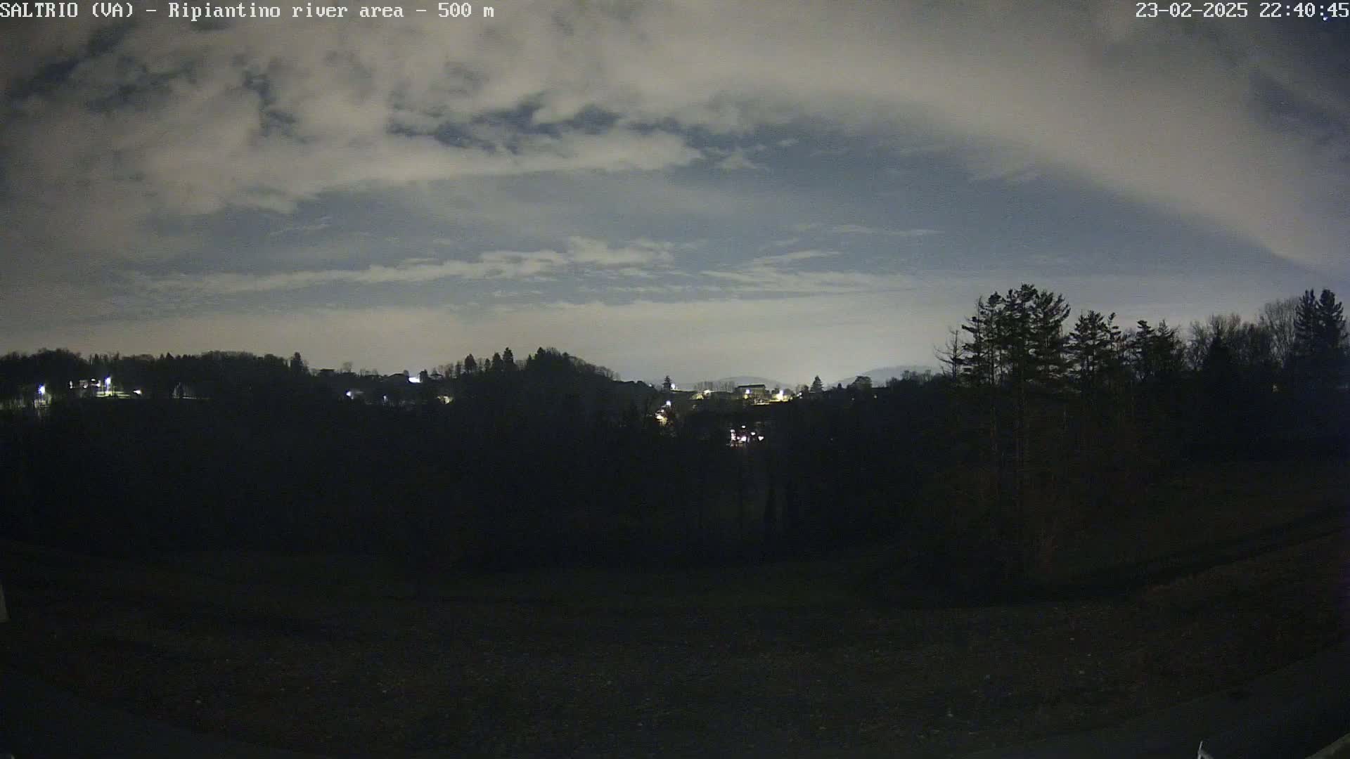 A nighttime view of a dark, tree-covered hillside with a few scattered lights visible in the distance under a cloudy sky.