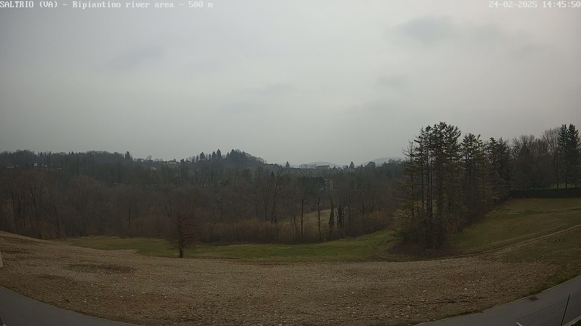 A view of a barren field and leafless trees under an overcast sky, with a line of hills in the distance.