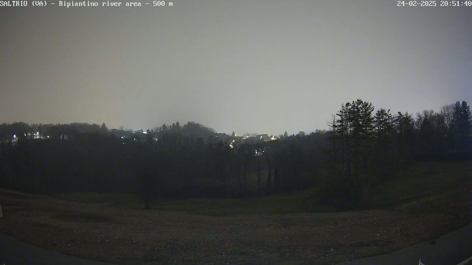 A nighttime view of a dimly lit landscape featuring dark trees and a distant, faintly illuminated town under an overcast sky.
