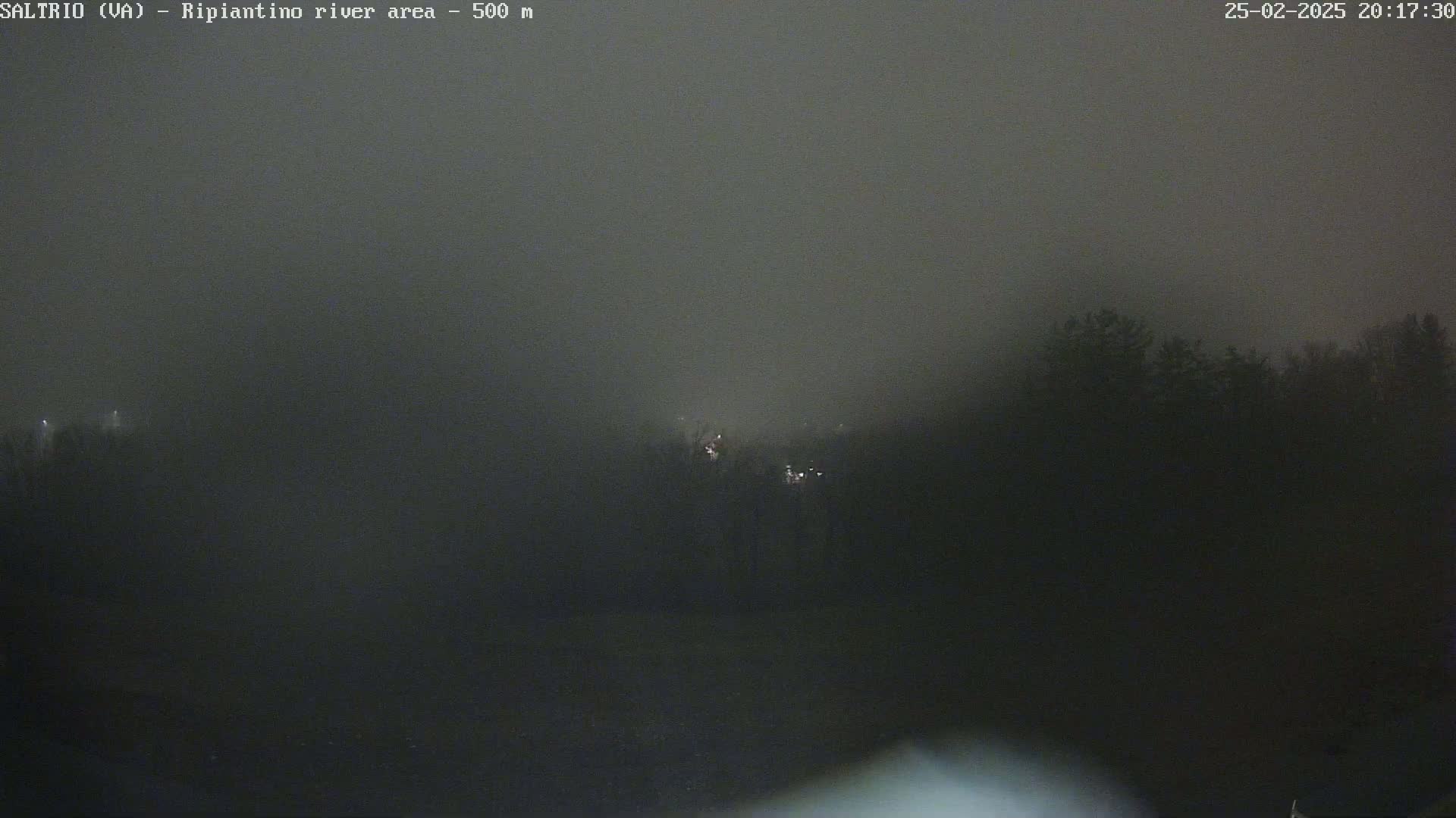 A nighttime, foggy view shows a dark treeline with a few faint lights visible in the distance.