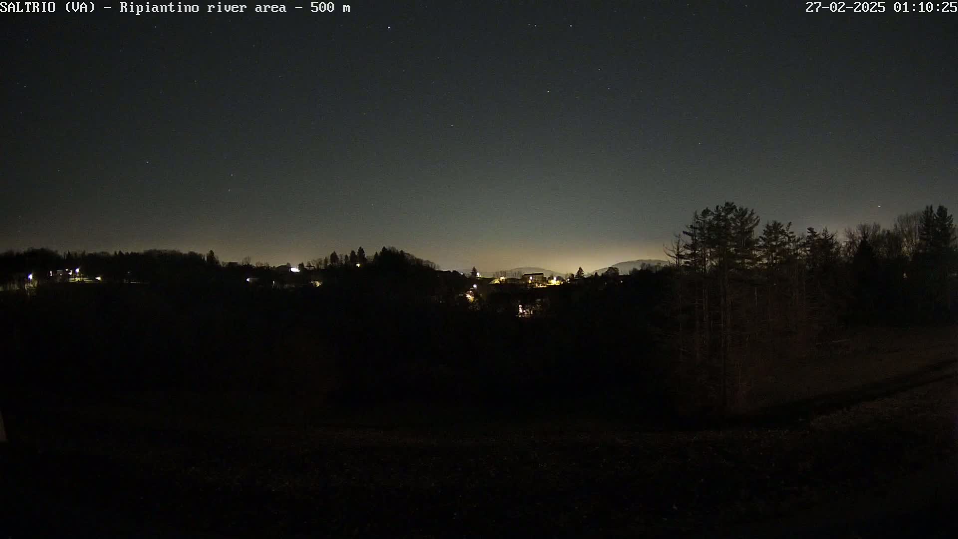 A nighttime view of a dark, tree-covered landscape with a few scattered lights visible in the distance under a clear, starry sky.
