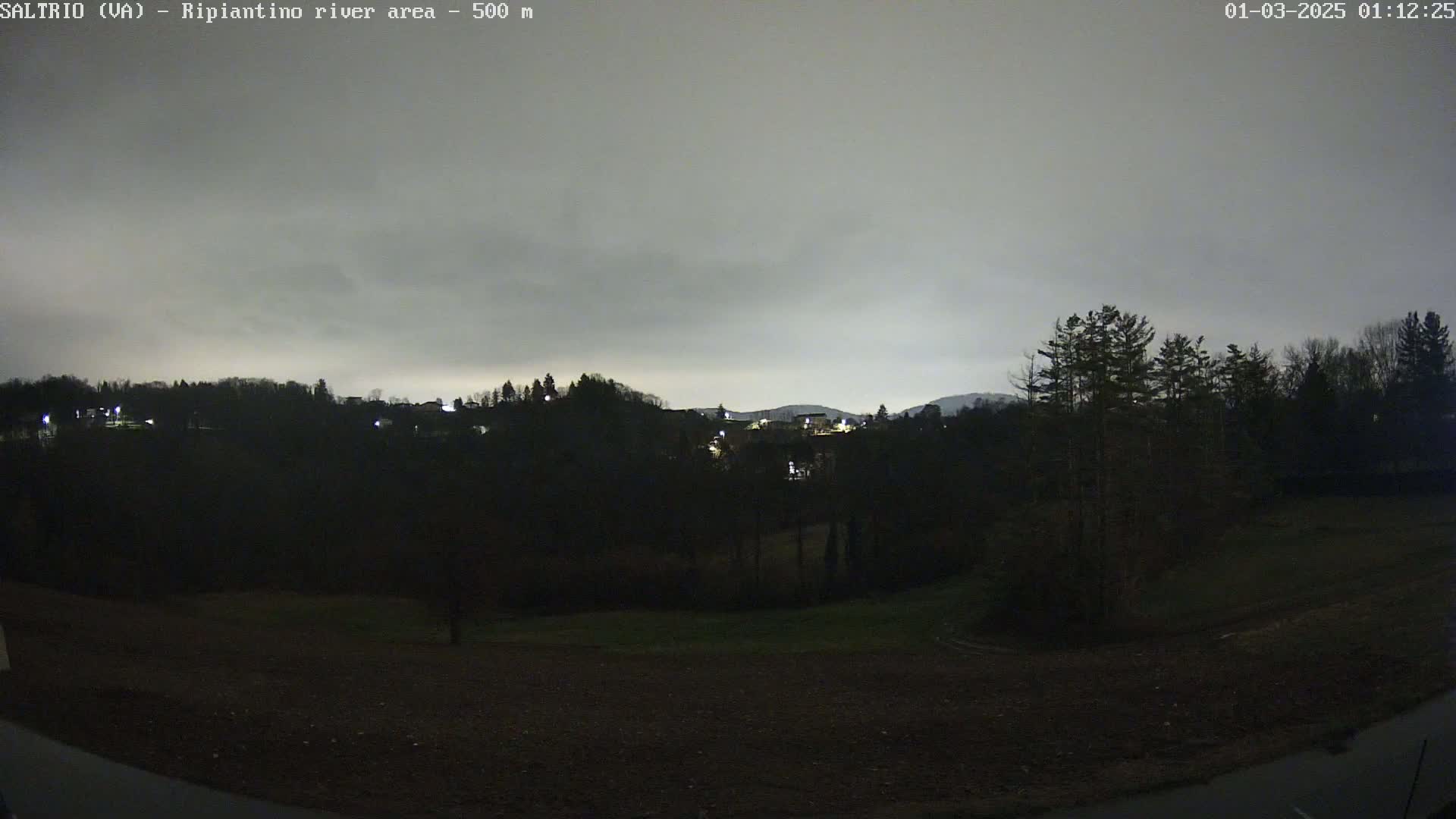 A nighttime view of a dimly lit hillside covered in trees and buildings under a cloudy sky.