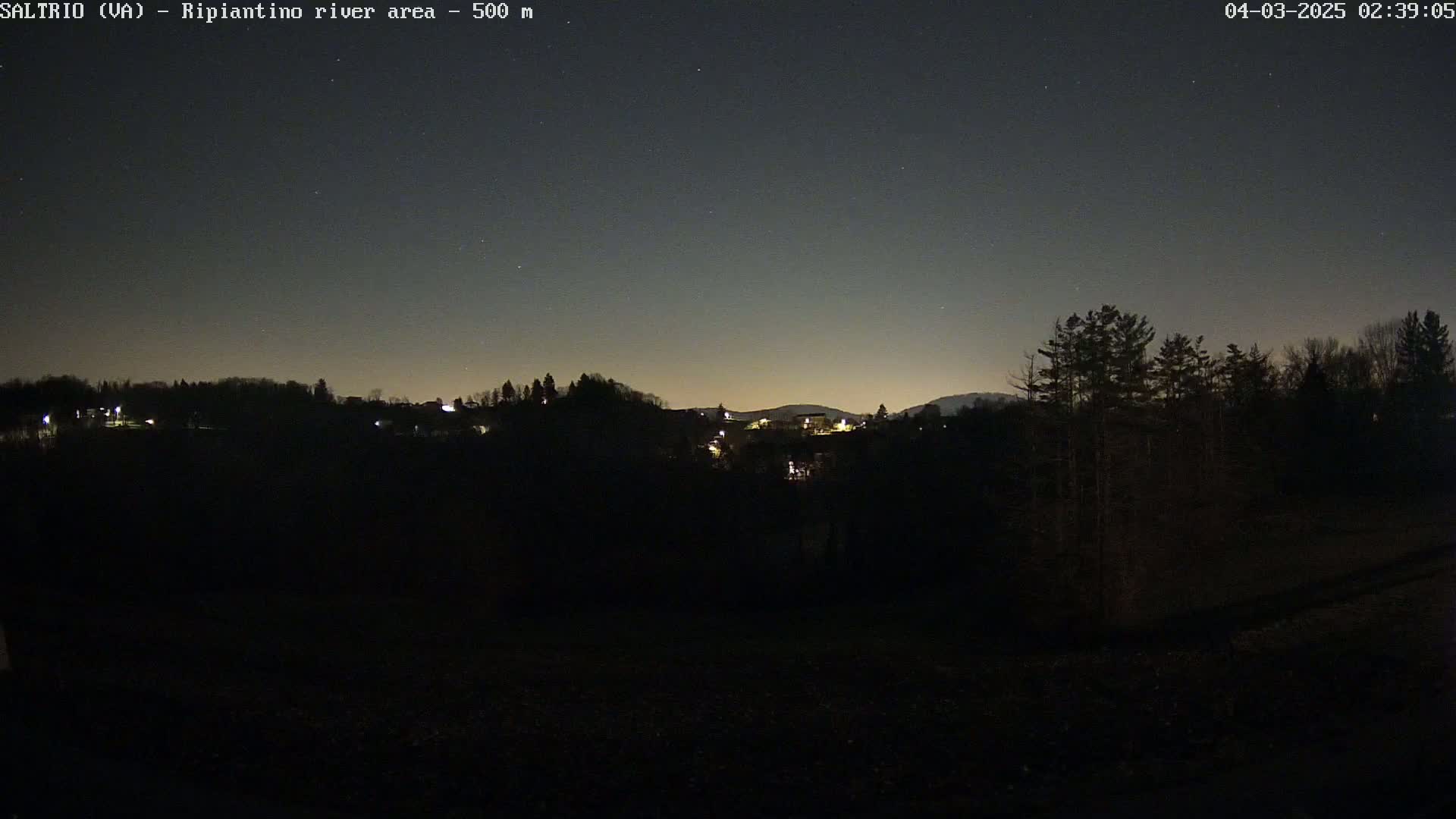 A nighttime view of a dark, tree-lined hillside with a few distant lights visible under a clear, starlit sky.