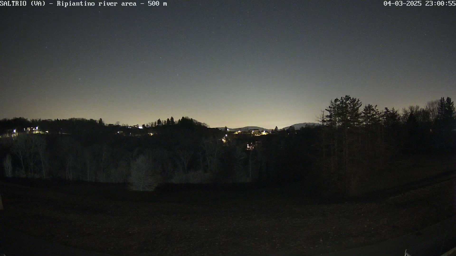 A nighttime view of a dark, sparsely lit landscape with trees and hills under a clear, starlit sky.