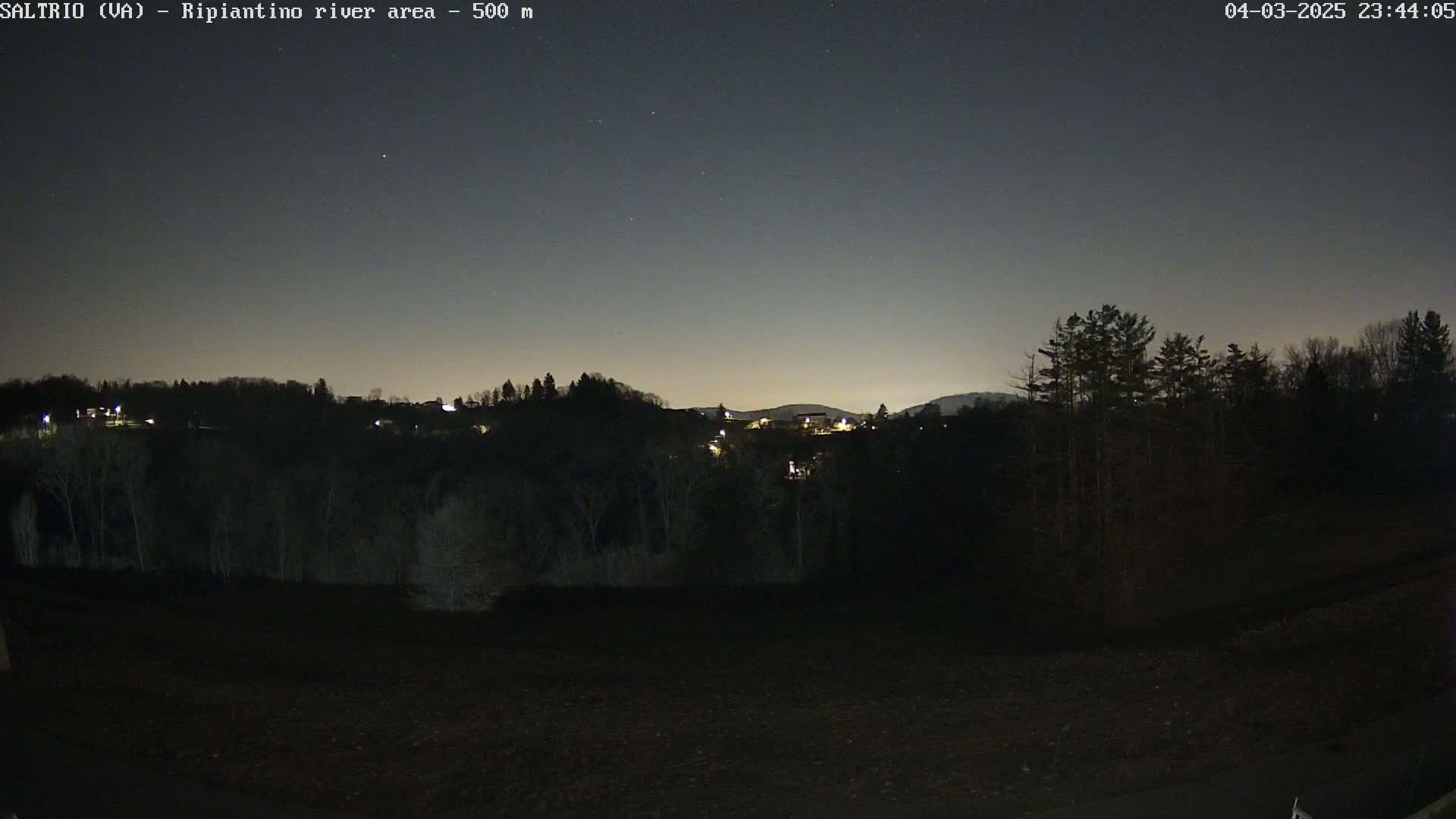 A nighttime view of a dark, tree-lined landscape with a few distant lights under a clear, starry sky.