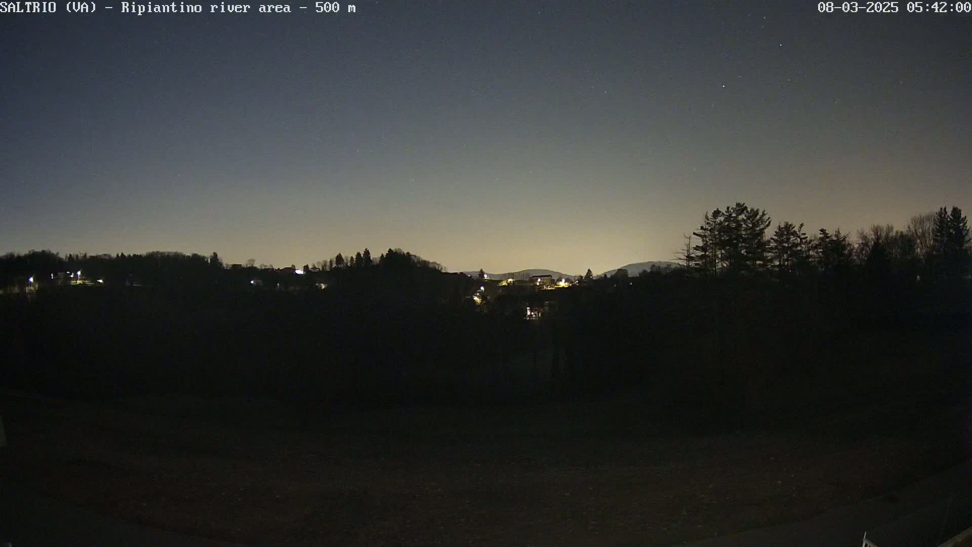 A nighttime view of a dark, tree-covered hillside with a few distant lights under a clear, starry sky.