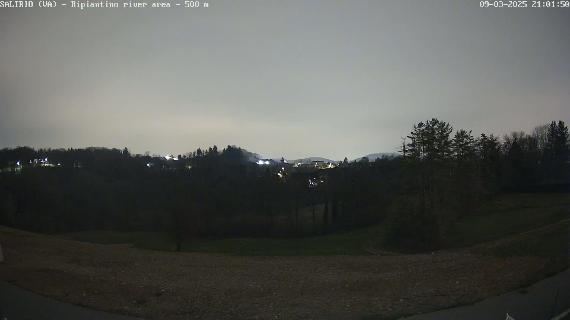 A nighttime view of a dark, tree-covered hillside with a few lights visible in the distance under a light gray sky.