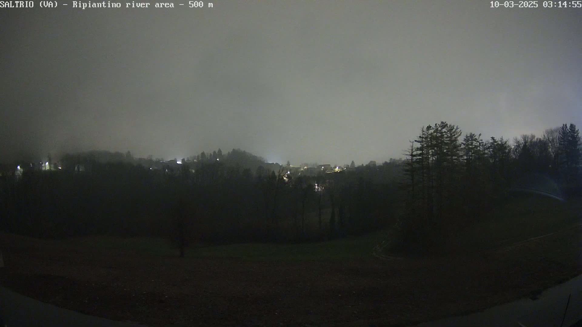 A nighttime, foggy view shows a dark, wooded hillside with sparsely lit buildings in the distance.