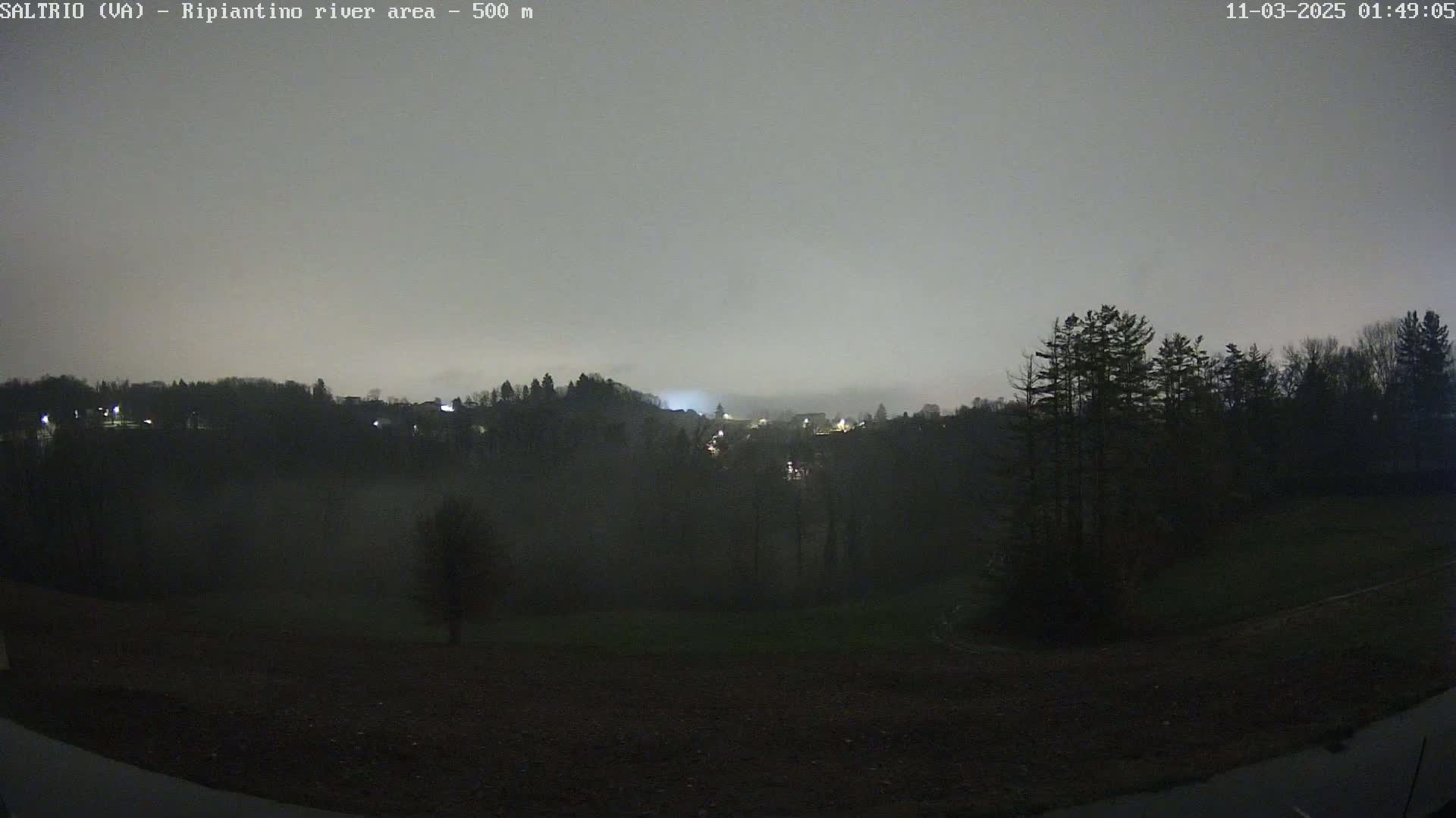 A nighttime, foggy view of a valley with sparsely lit buildings and trees under a gray sky.