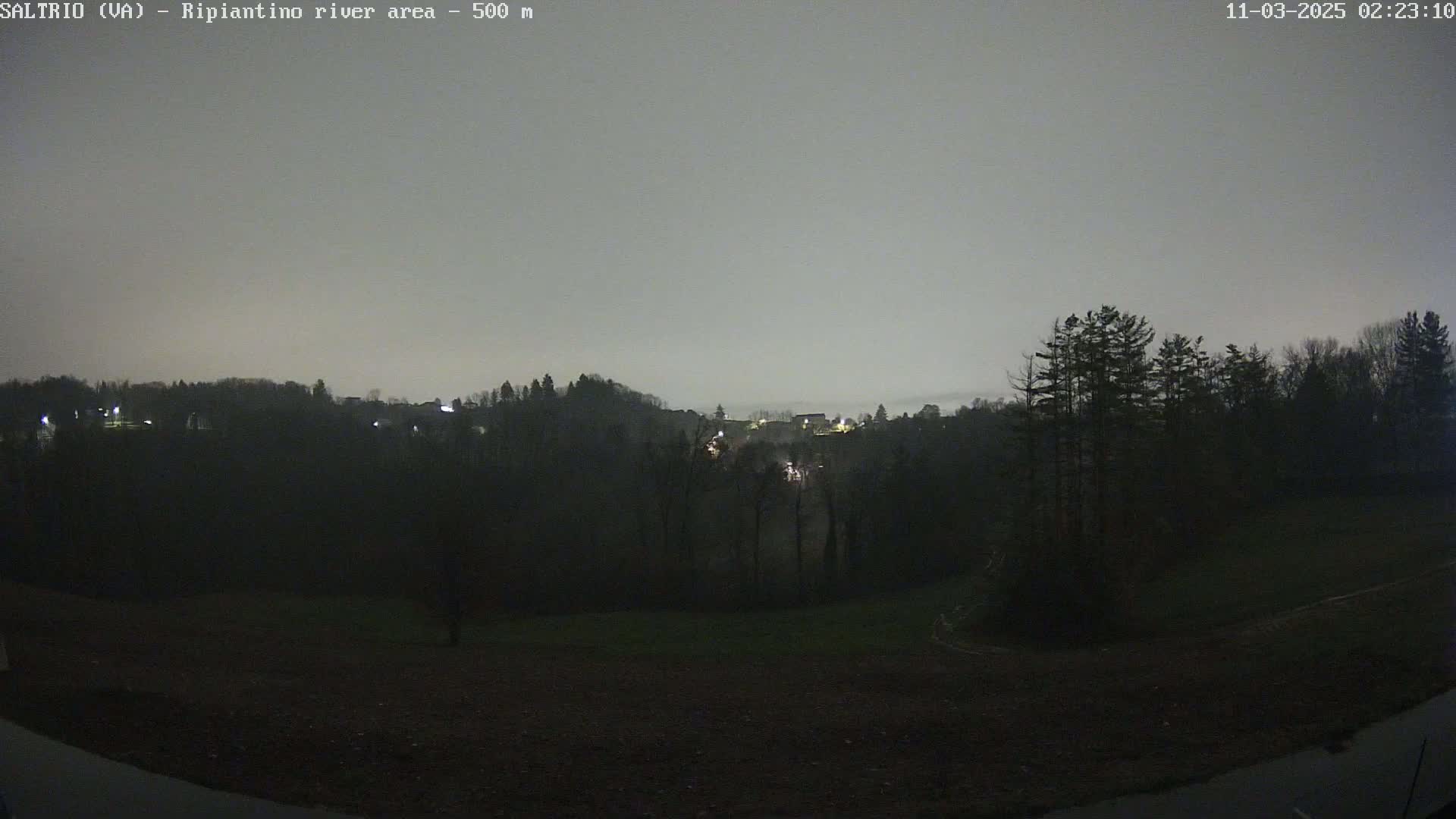 A nighttime, overcast view shows dark, silhouetted trees and a distant, dimly lit town across a field.