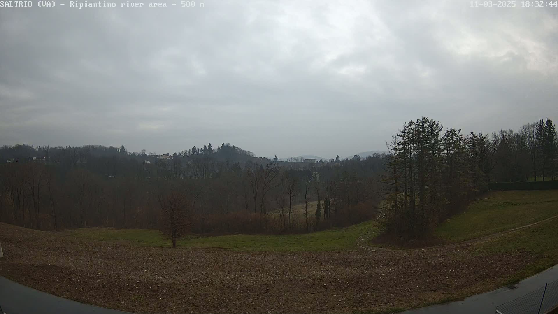 A view of a hilly landscape with bare trees under an overcast sky, showing a field in the foreground and wooded hills in the background.
