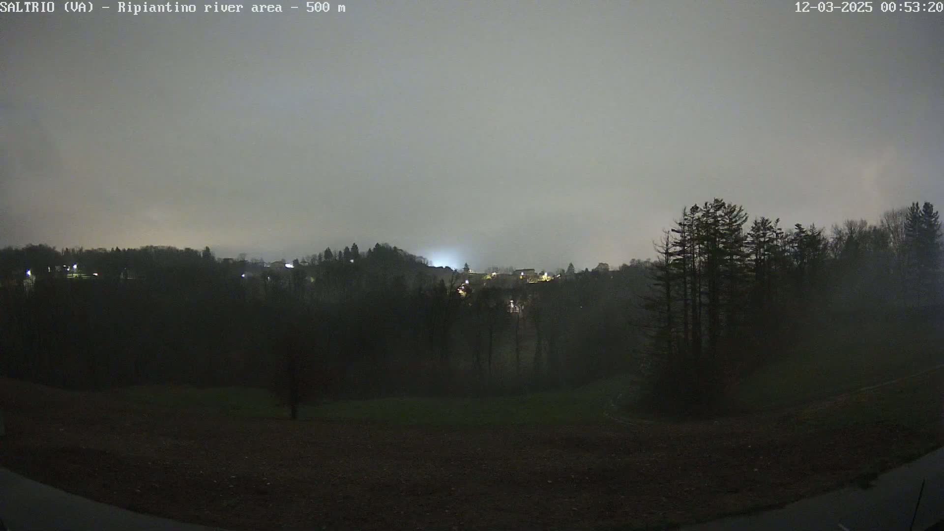 A nighttime view of a foggy, dark landscape shows a line of trees and distant, dimly lit buildings nestled in the hills.