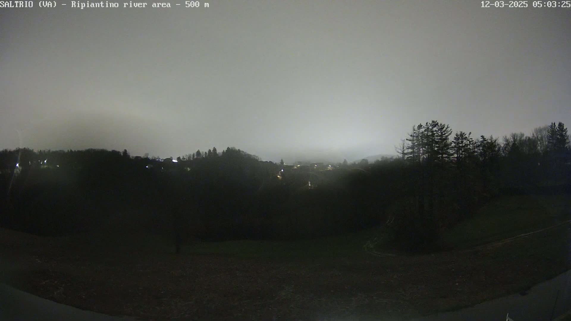 A nighttime, overcast view of a dark, tree-covered landscape with a few distant lights visible.