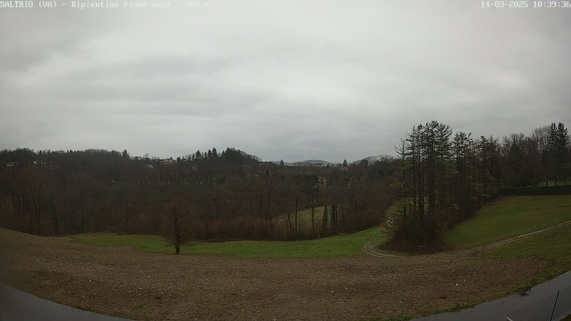 A view of a hilly landscape with bare trees and patches of green grass under an overcast sky.