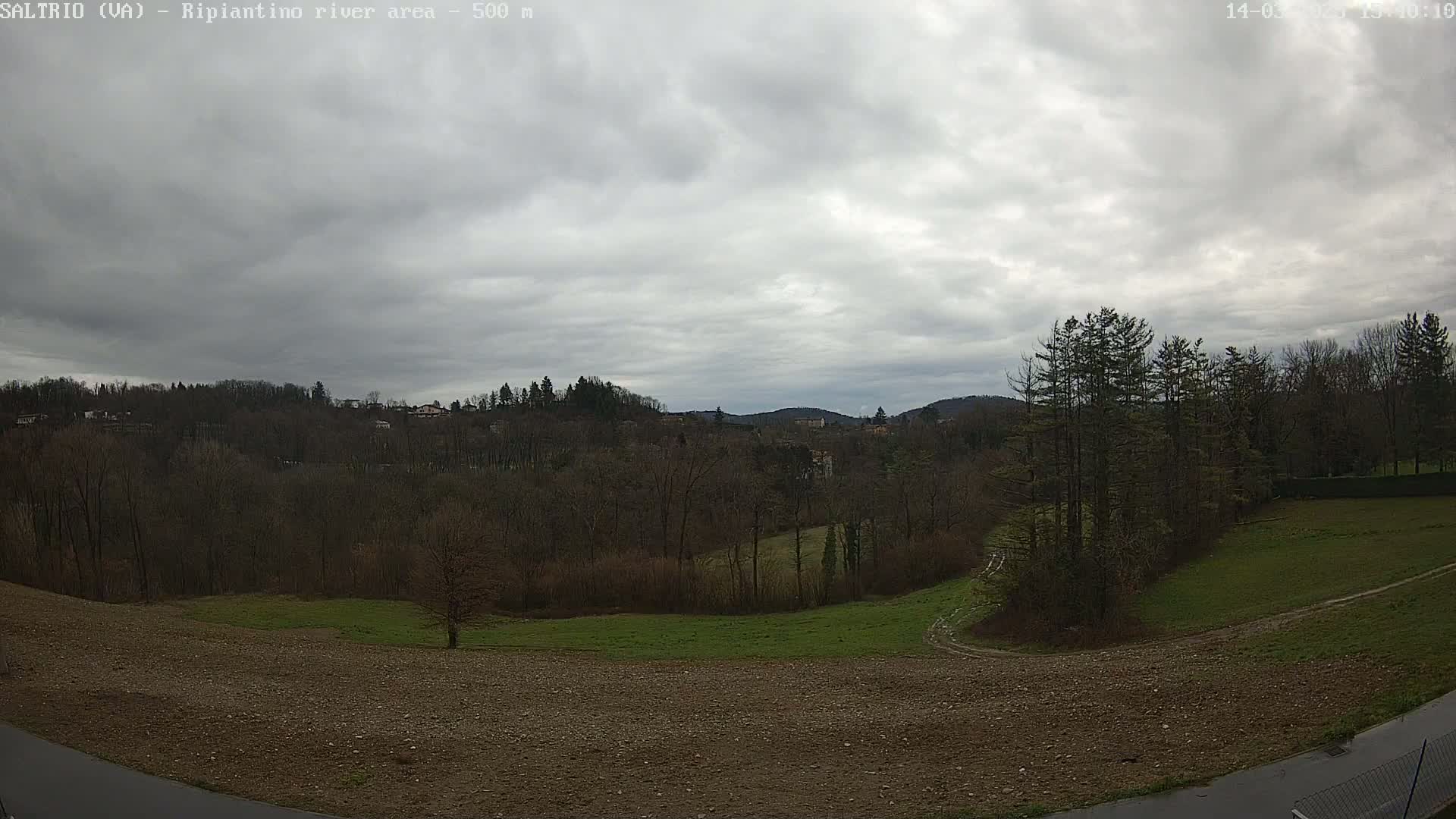A view of a mostly barren, hilly landscape under a cloudy sky shows a mix of bare trees and patches of green grass.