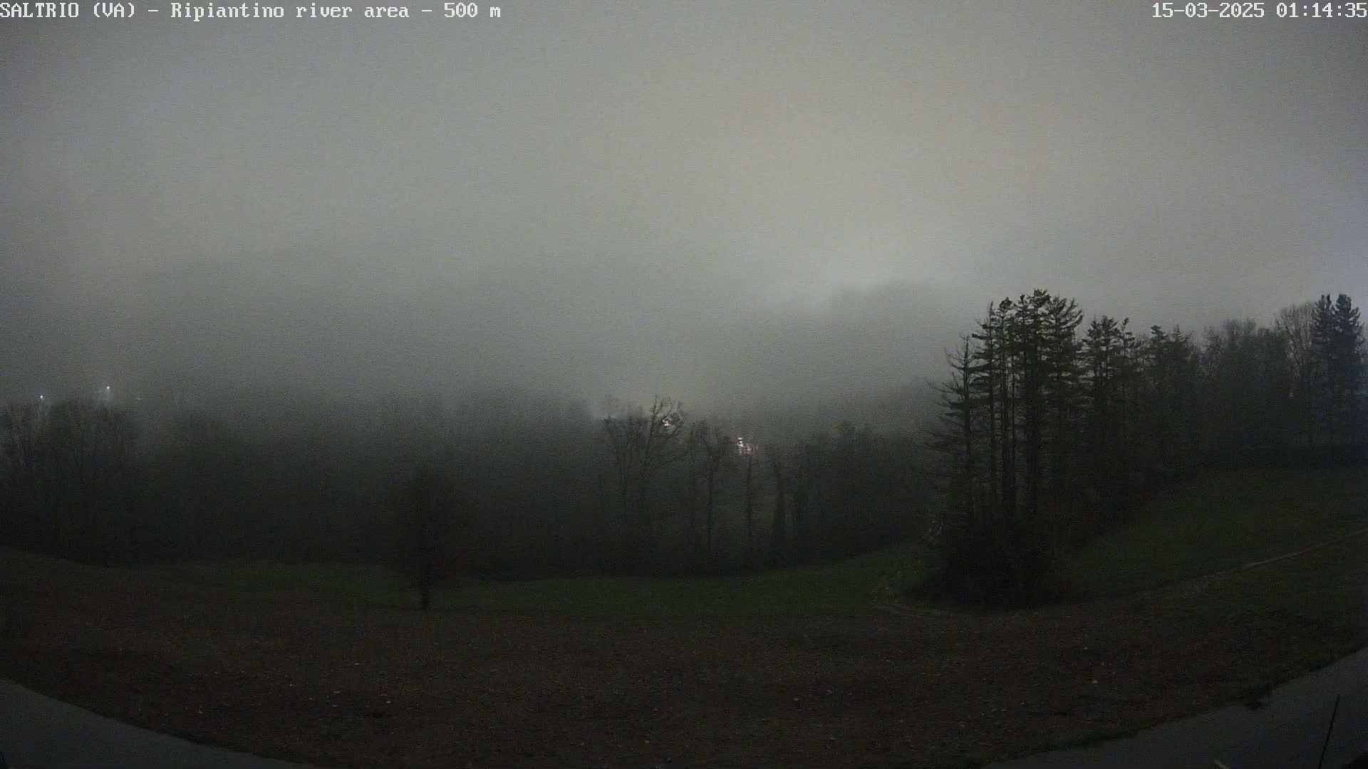A foggy, dark scene shows a line of trees on a hill overlooking a flat, dark expanse of land.