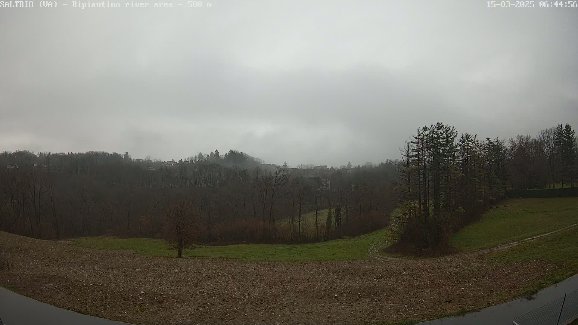 A fog-shrouded landscape of bare trees and fields is visible from a slightly elevated viewpoint.