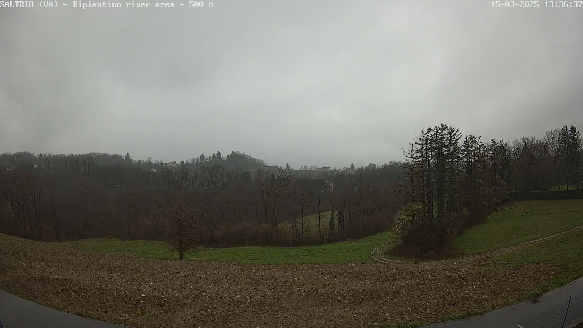 A view of a treeline and a grassy field under an overcast sky.