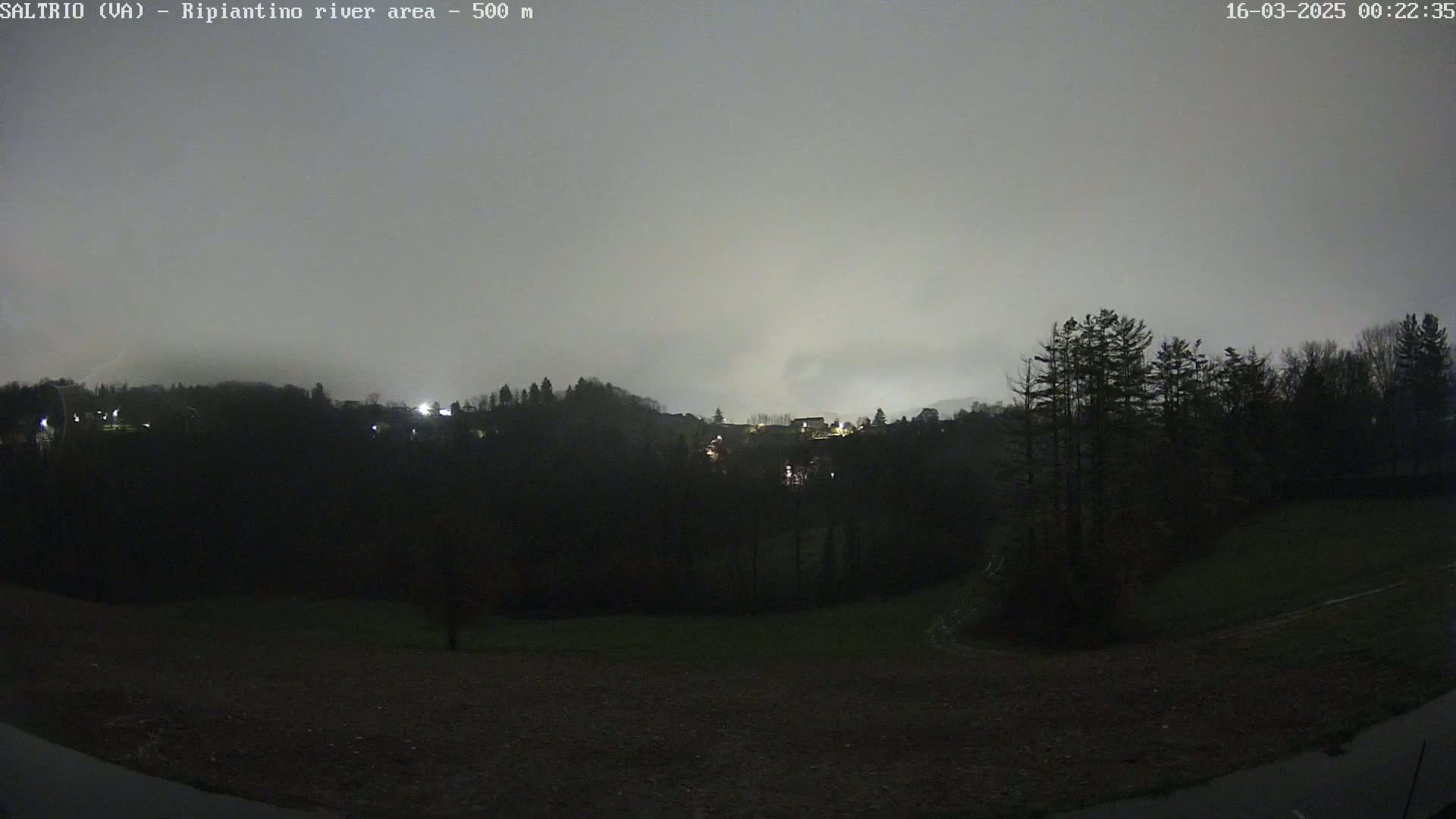 A nighttime view of a dimly lit, wooded hillside under a cloudy, gray sky.