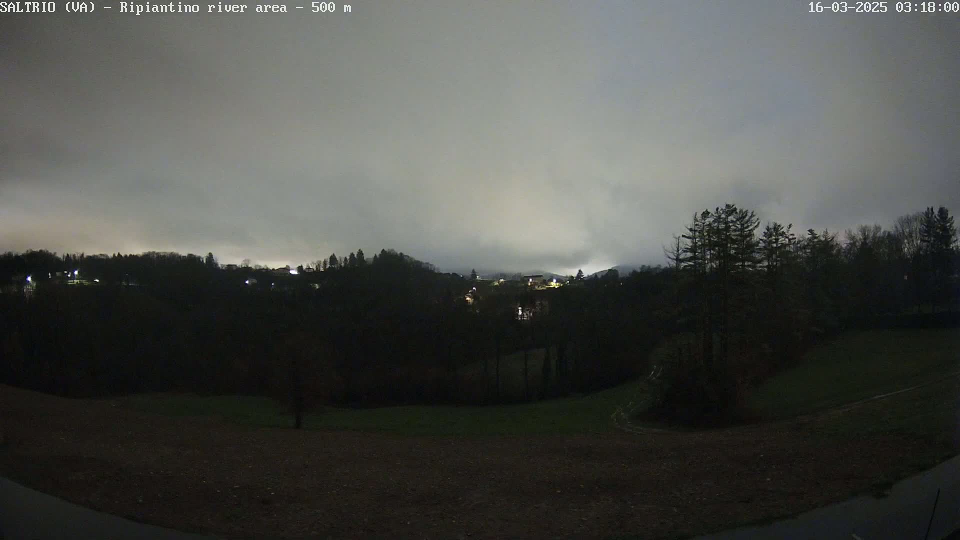 A nighttime view of a dark, wooded area with a few distant lights under an overcast sky.