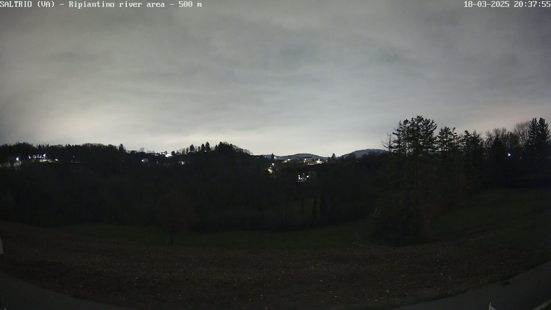A nighttime view of a dark, tree-lined hillside with a few distant lights under an overcast sky.