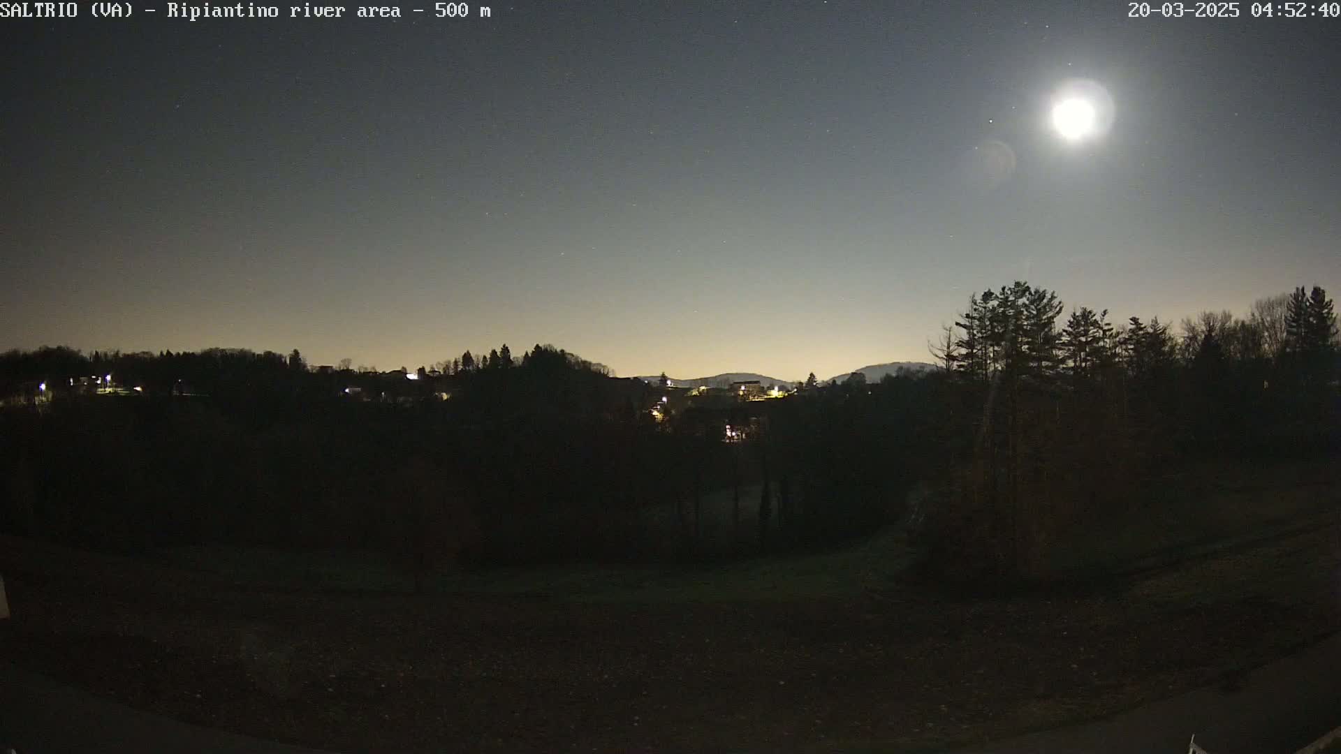 A bright moon illuminates a dark, nighttime landscape of trees and a distant village under a clear sky.