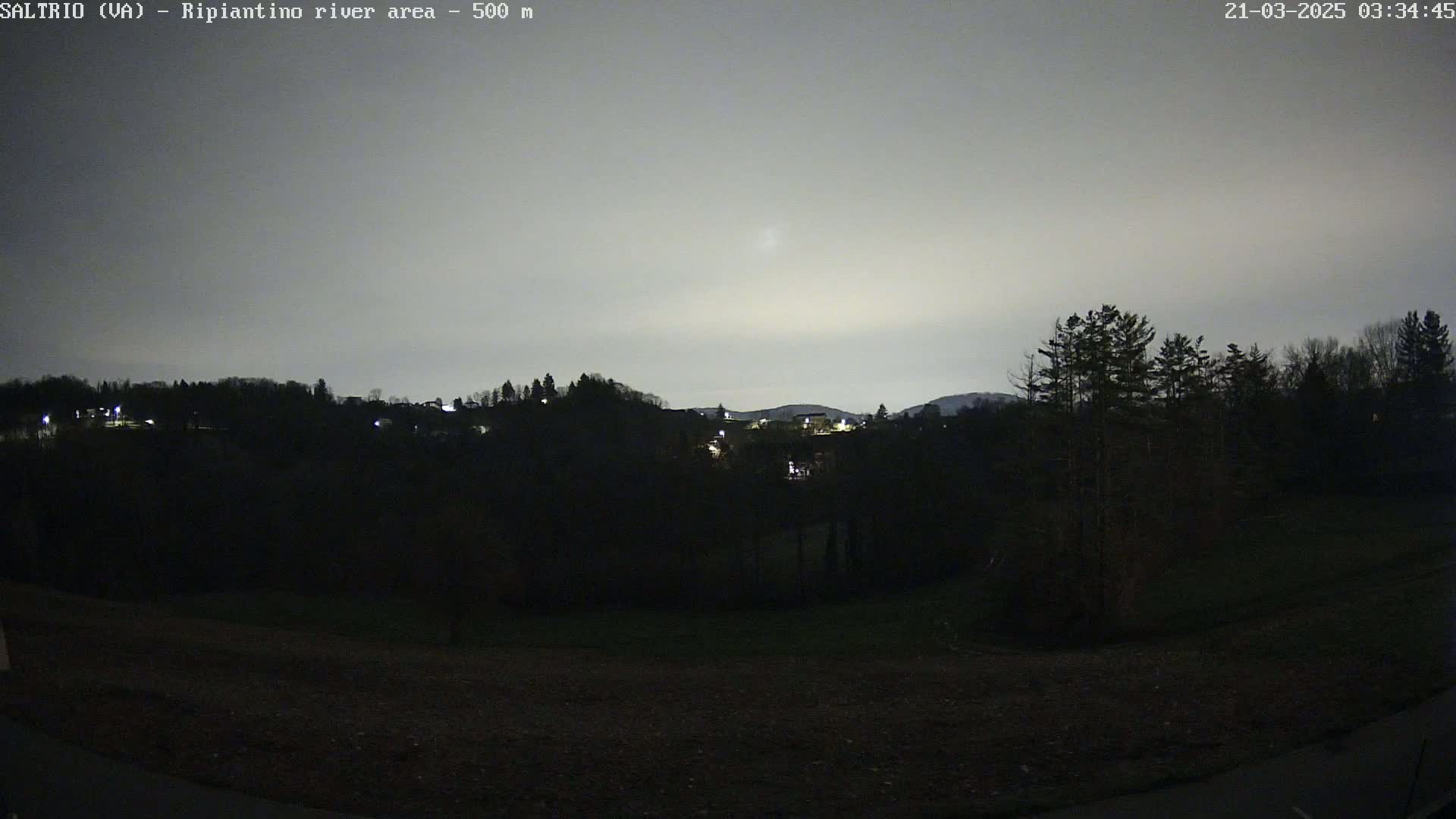 A nighttime view of a dark, tree-covered hillside with a few lights visible in the distance under a cloudy, gray sky.