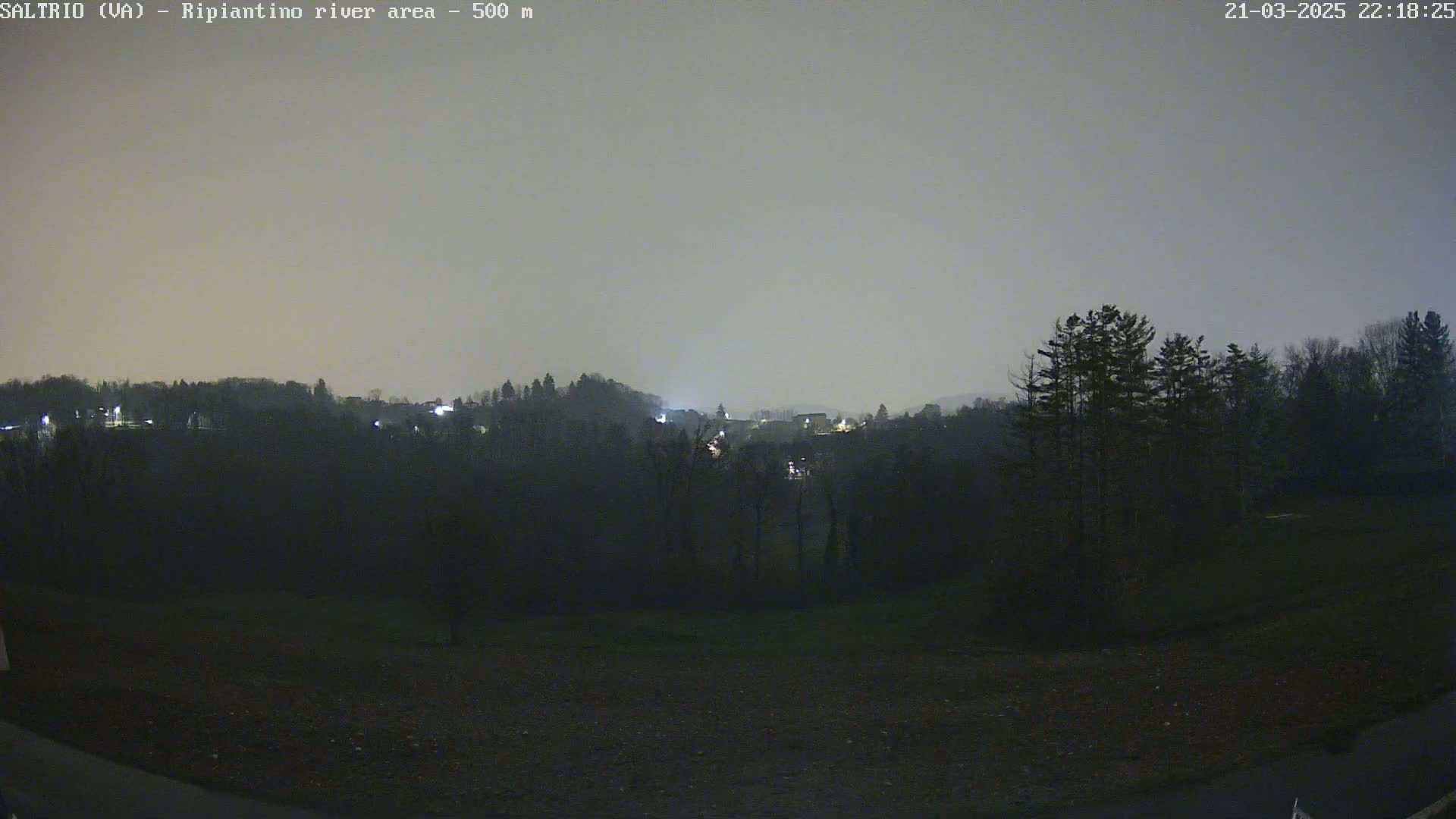 A nighttime view of a dimly lit, wooded area with a hazy sky.