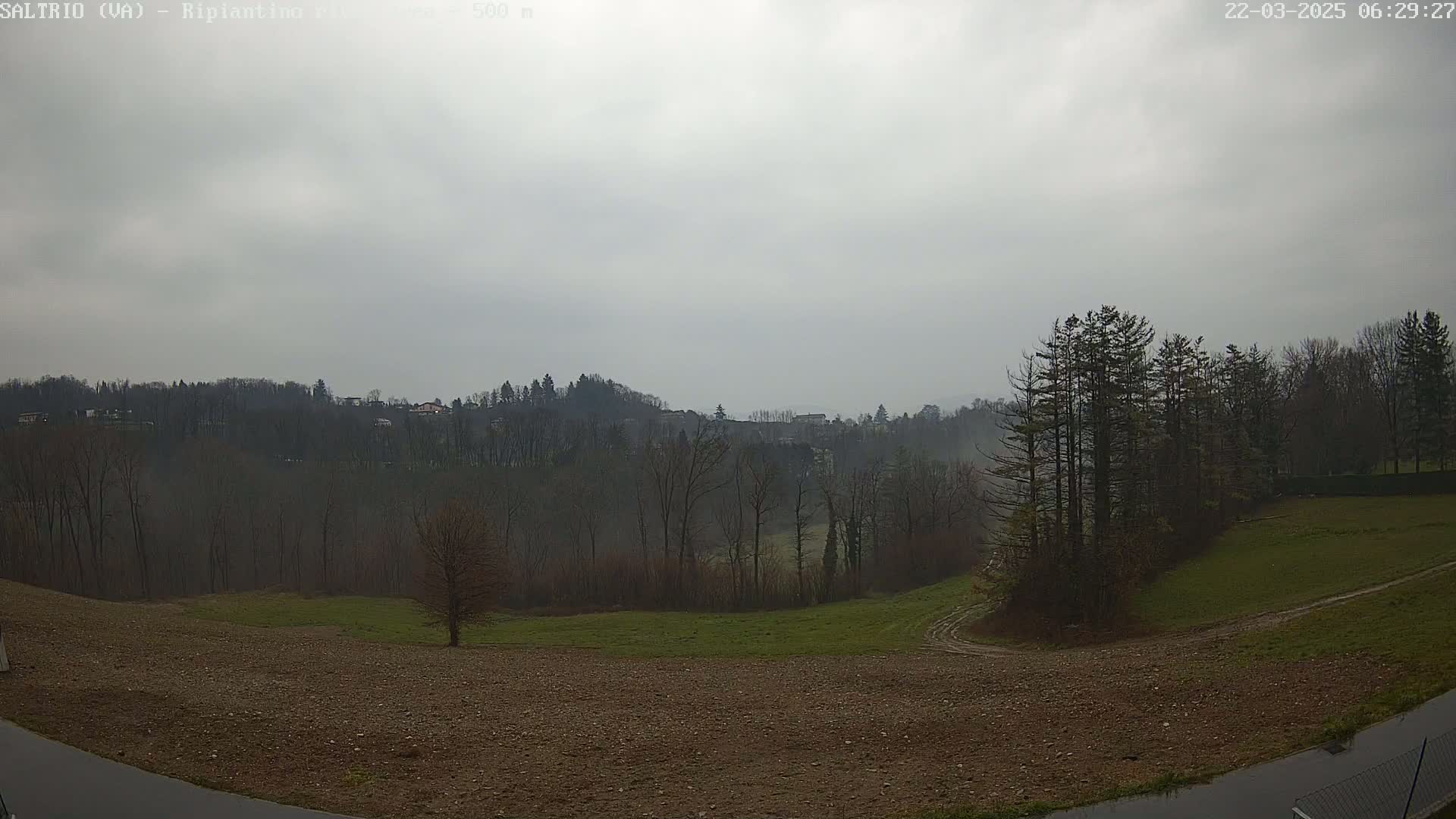 A misty, overcast day reveals a hilly landscape with bare trees, a plowed field, and a cluster of evergreens in the foreground.