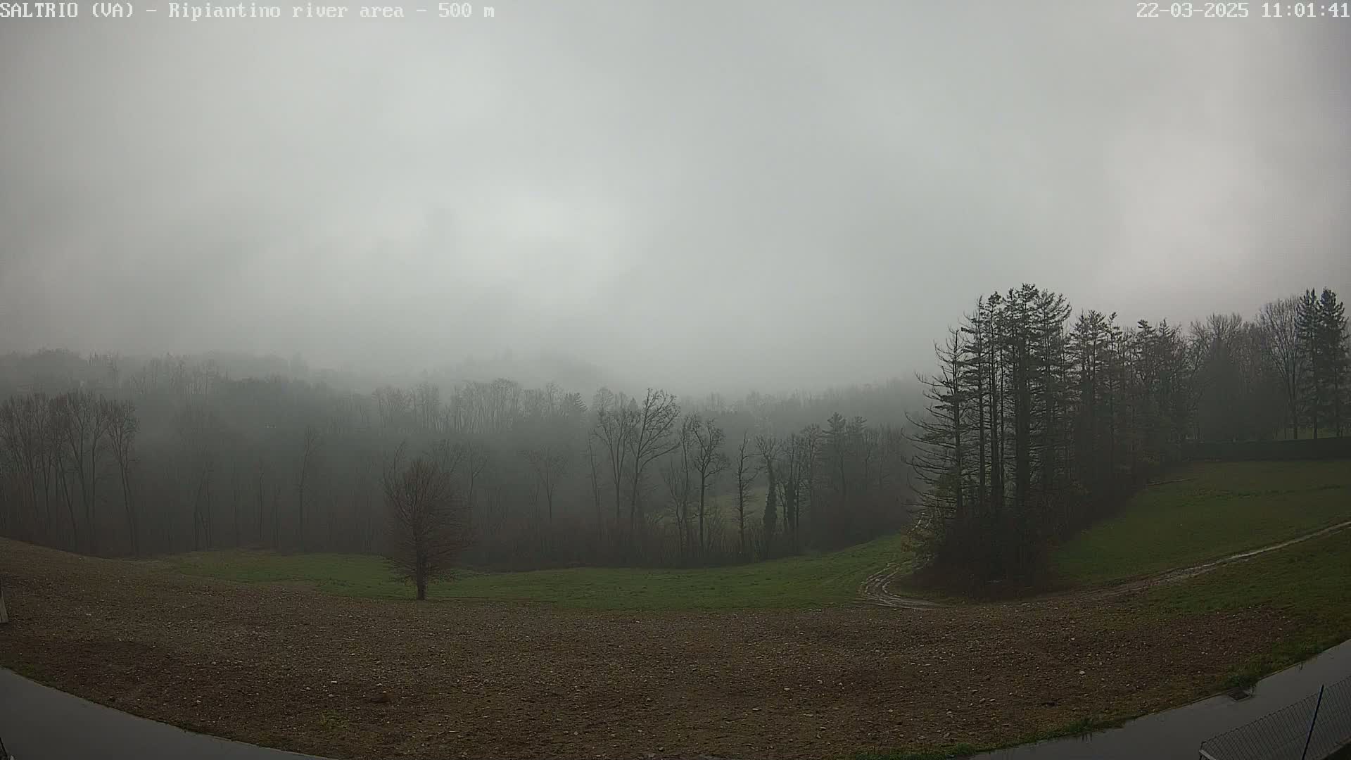 A foggy landscape shows a plowed field, a grassy area, and a line of trees obscuring hills in the background.