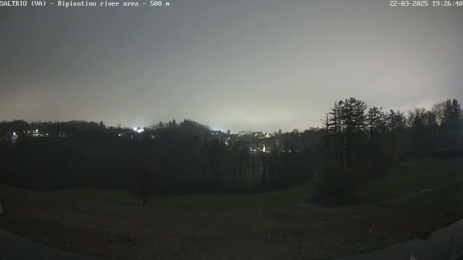 A nighttime view of a dimly lit town nestled among dark trees under an overcast sky.