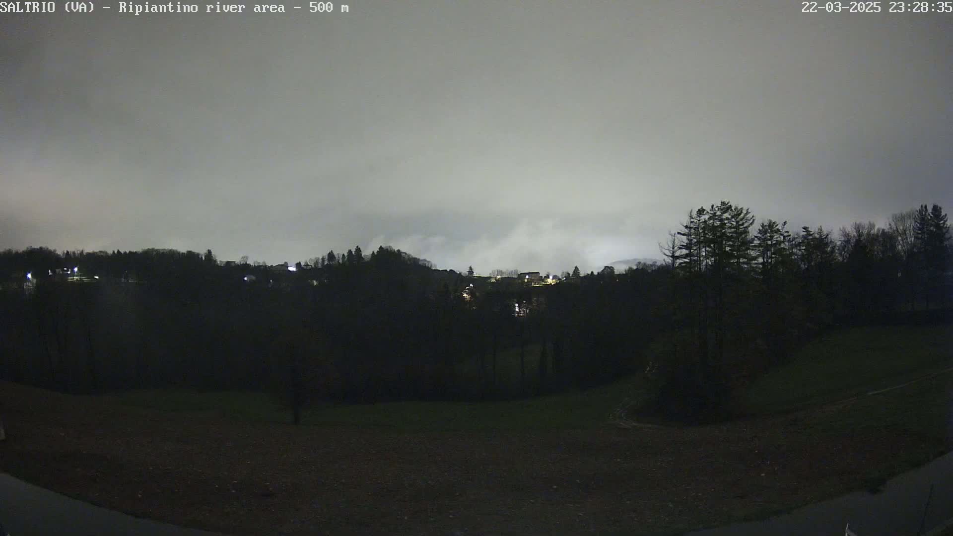A nighttime view of a dark, wooded hillside under a cloudy, overcast sky.
