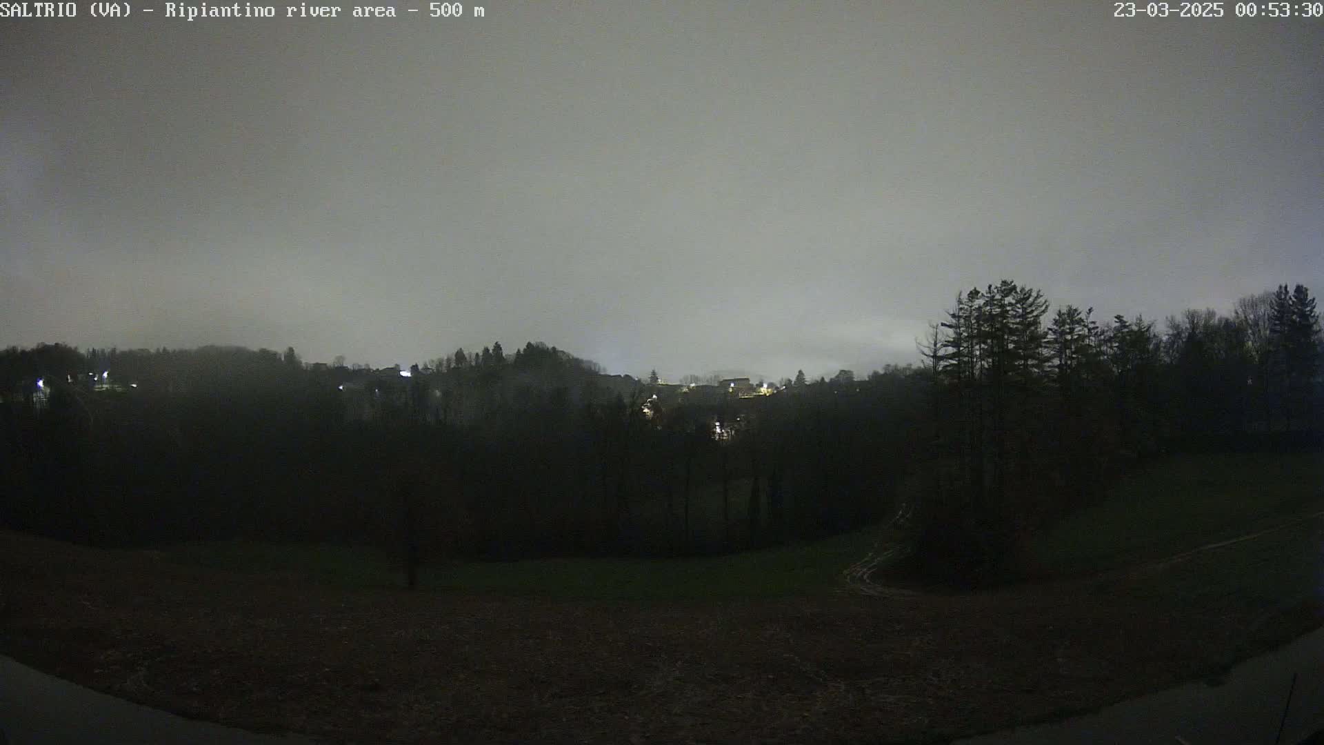 A nighttime view of a dark, wooded hillside with a few faint lights visible in the distance under an overcast sky.
