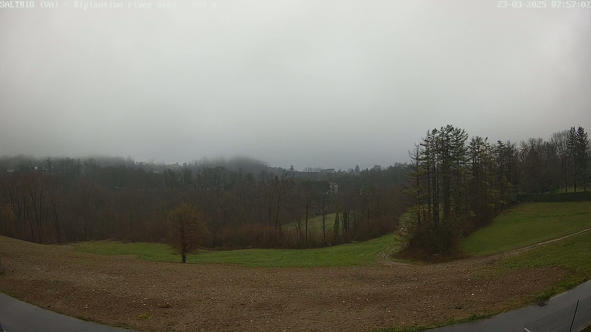 A foggy landscape reveals a gently sloping field next to a wooded area, with a hazy view of more trees and possibly buildings in the distance.